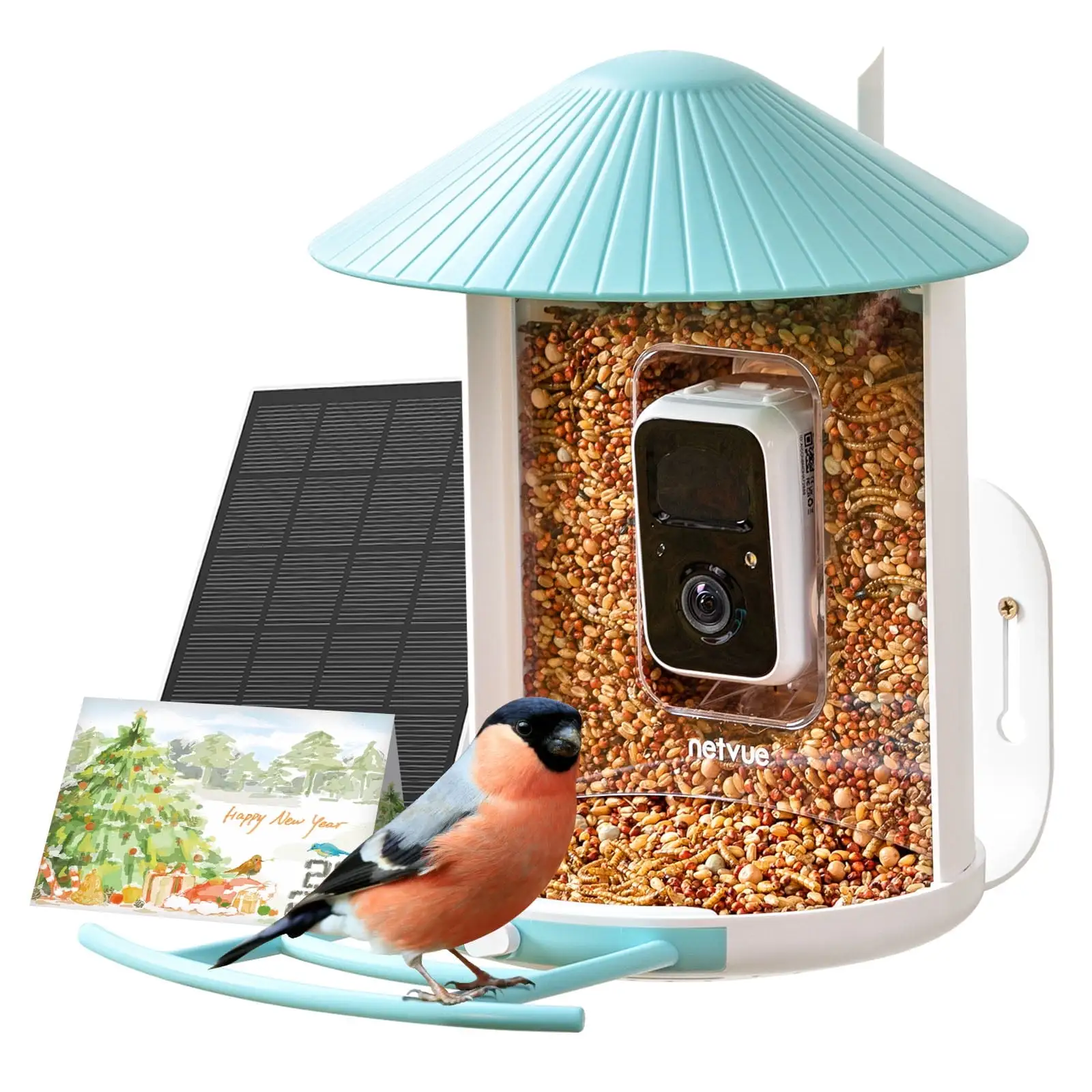 Smart Bird Feeder with Camera. Netvue Birdfy Bird Feeders Camera with AI Identify for Bird Lover. Blue (Christmas Box)