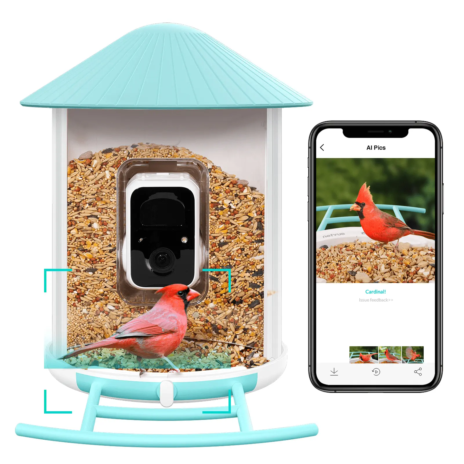 Smart Bird Feeder with Camera. Netvue Birdfy Bird Watching Camera Gift for Parents and Bird Lover. Blue (Free AI)