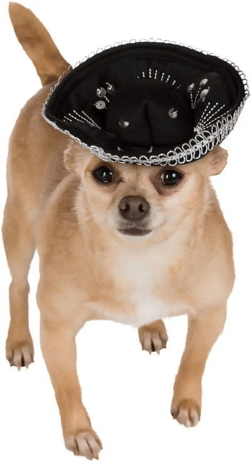 Sombrero Black Silver Hat Headpiece Pet Dog Halloween Costume Accessory