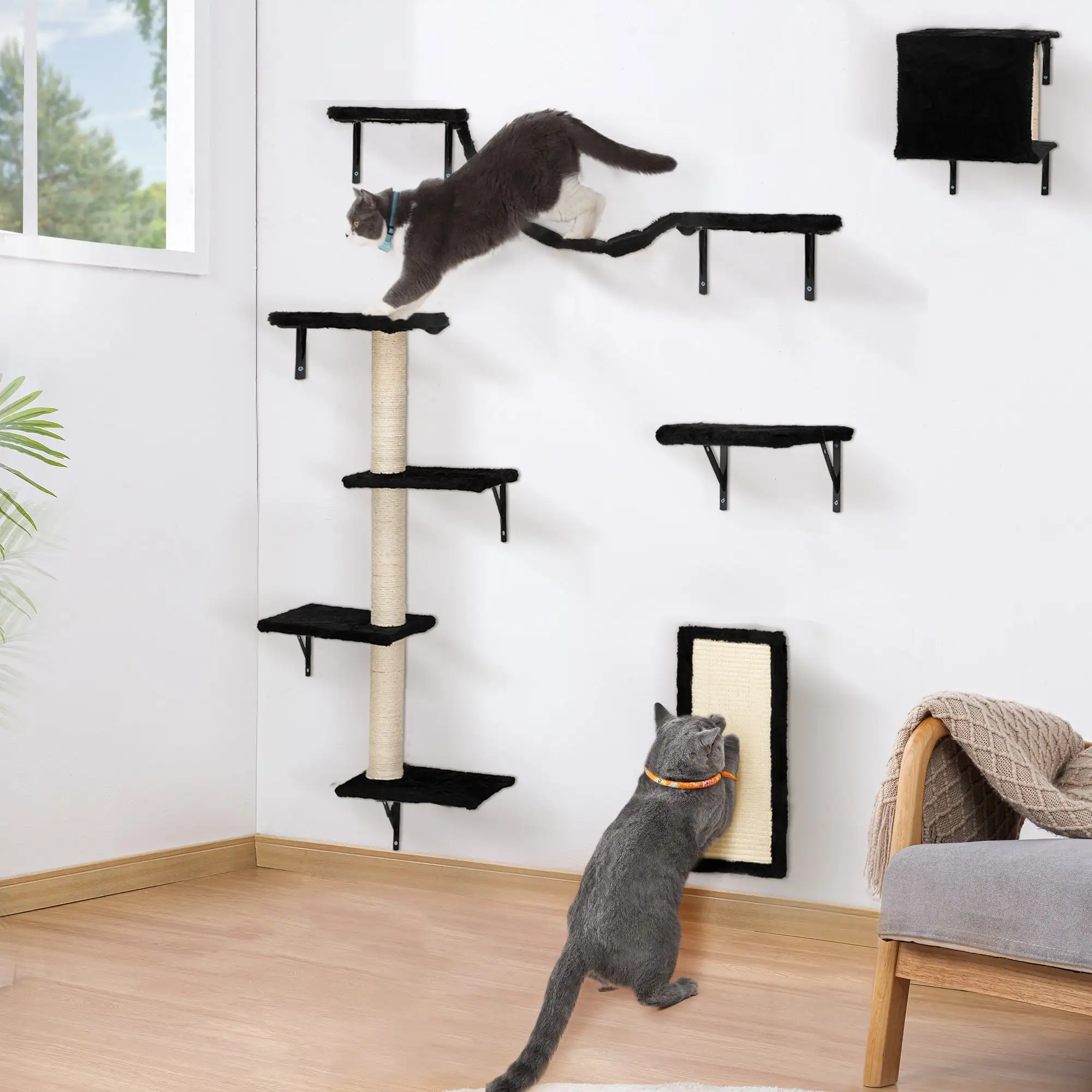 Spaco Set of 5 Cat Wall Shelves and Perches Sleeping Playing Lounging Climbing Cat Tree House for Multiple Cats. Black