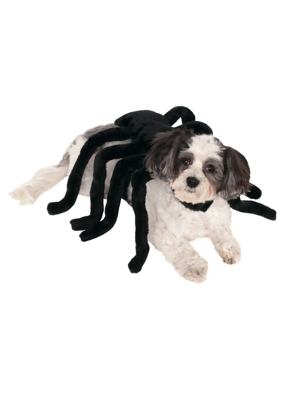 Spider Harness Pet Costume