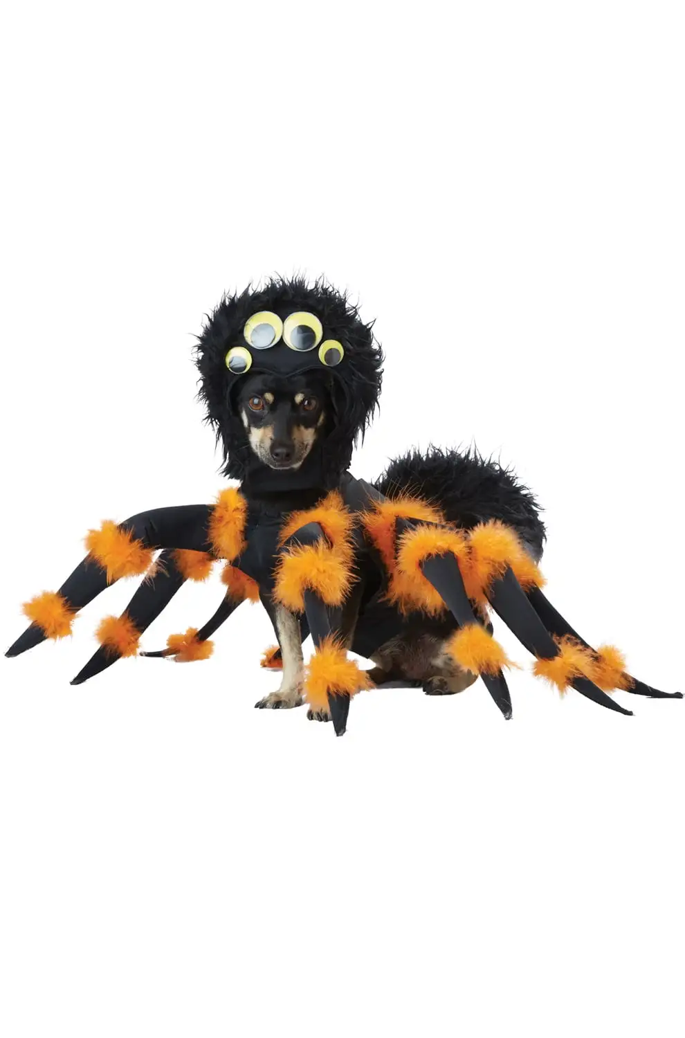 Spider Pup Halloween Pet Costume size XS