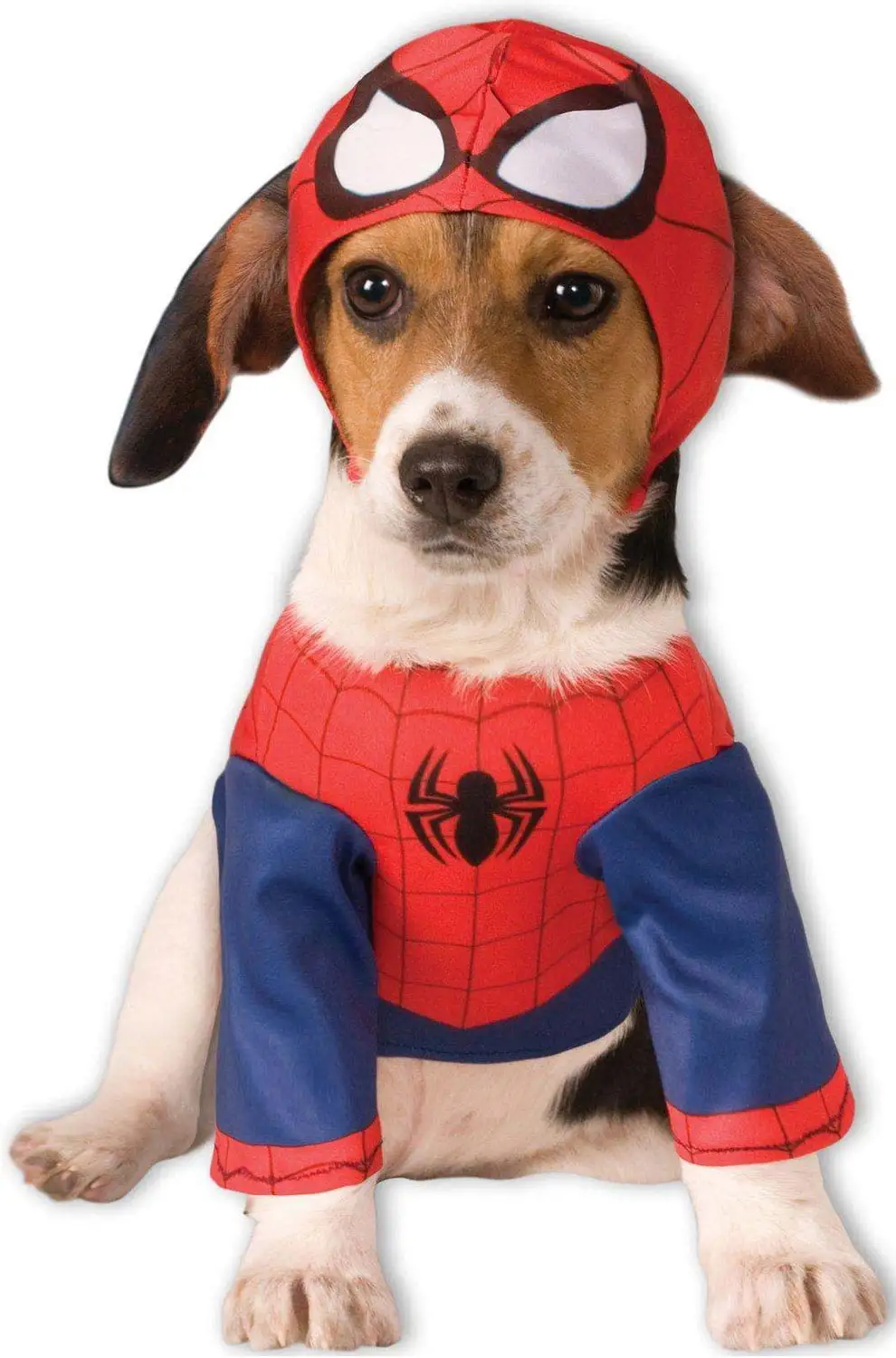 Spiderman Dog Costume and Cat Disguise