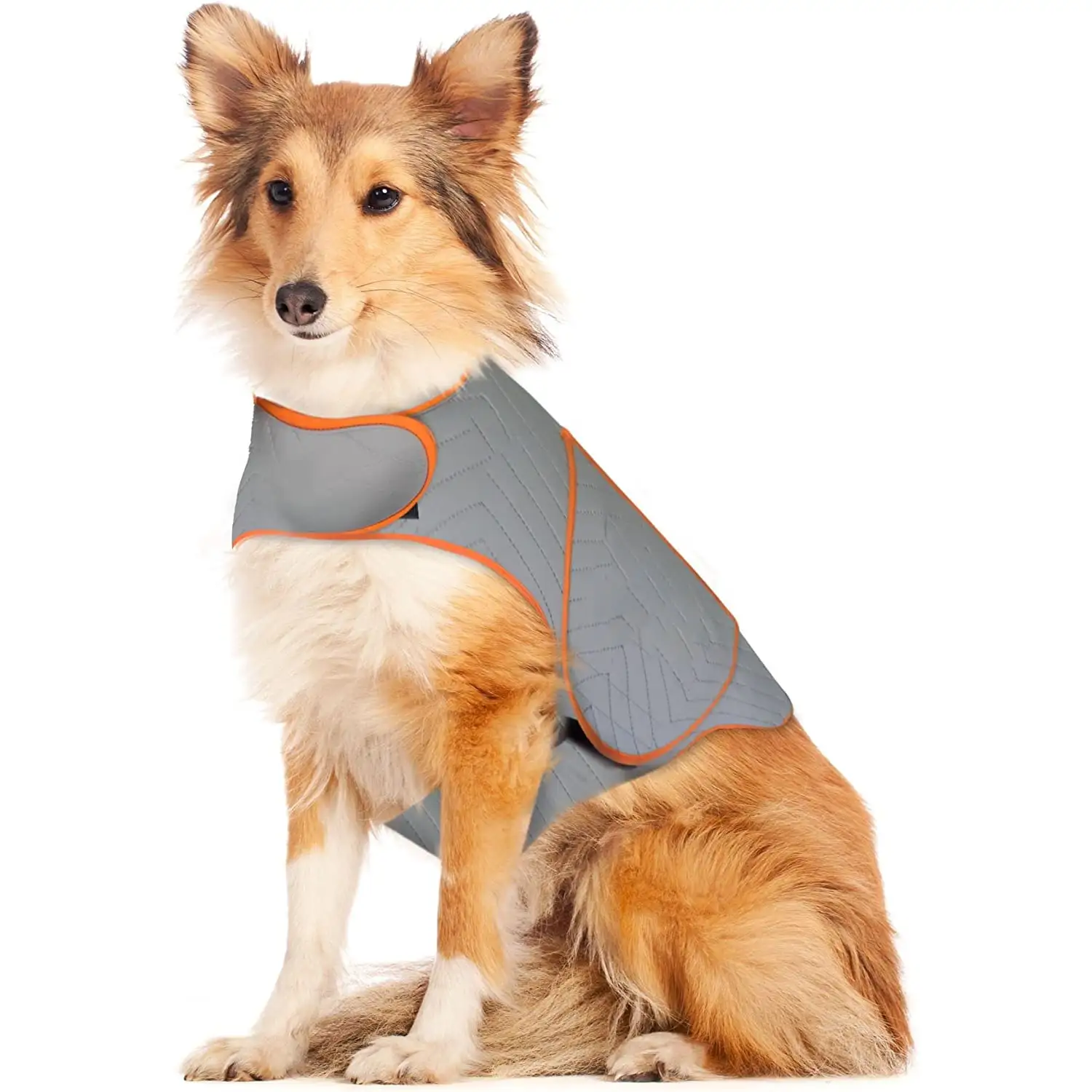 Sport Dog Anxiety Jacket . Vet Recommended Calming Solution Vest for Fireworks. Thunder. Travel. Separation