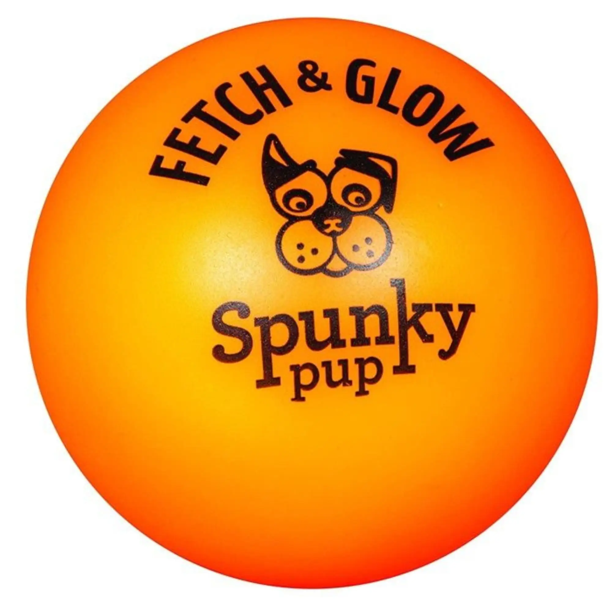 Spunky Pup Fetch and Glow Ball Dog Toy Assorted Colors