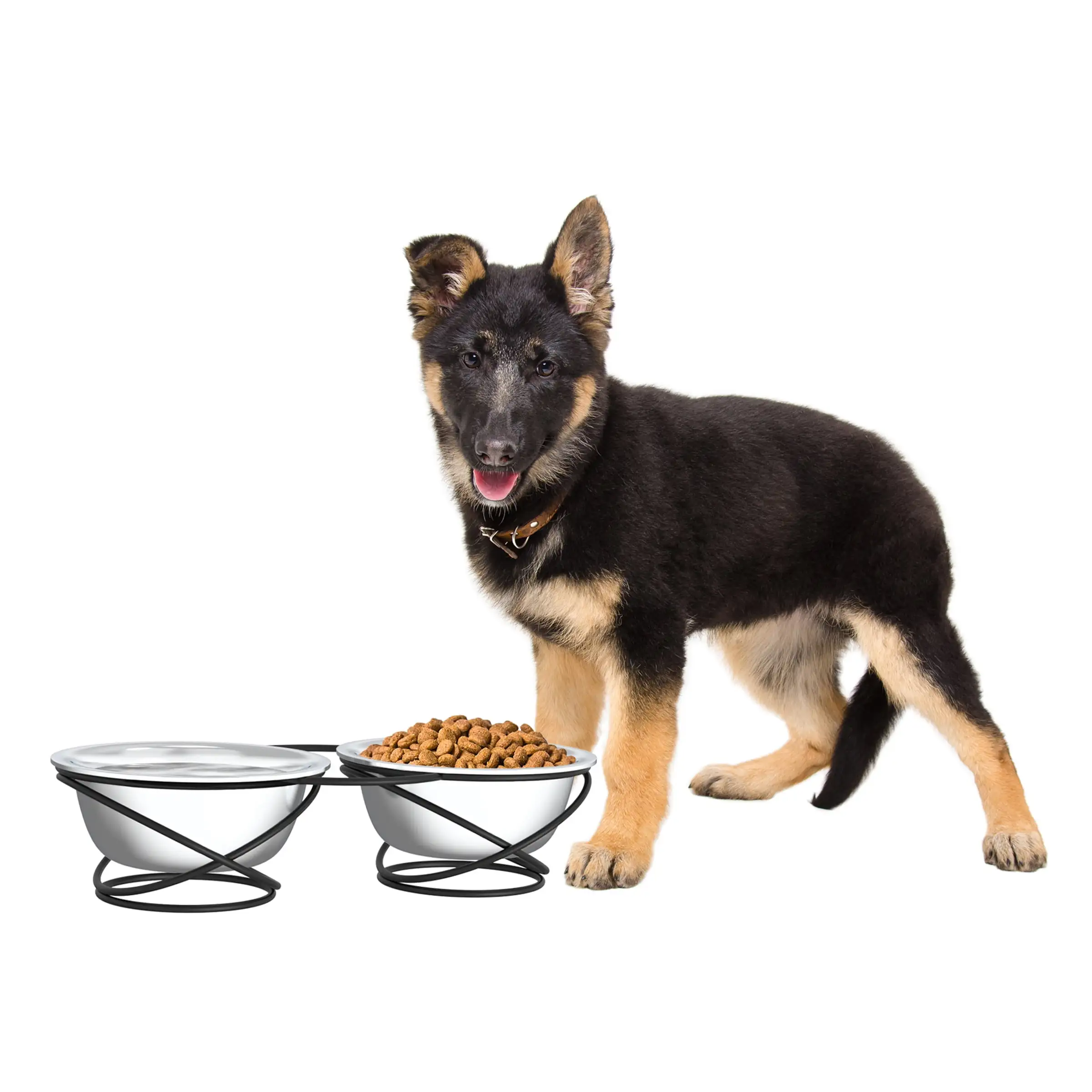 Stainless Steel Raised Food and Water Bowls with Decorative 3.5? Tall Stand for Dogs and Cats-2 Bowls 40oz Each-Elevated Feeding Station by Petmaker