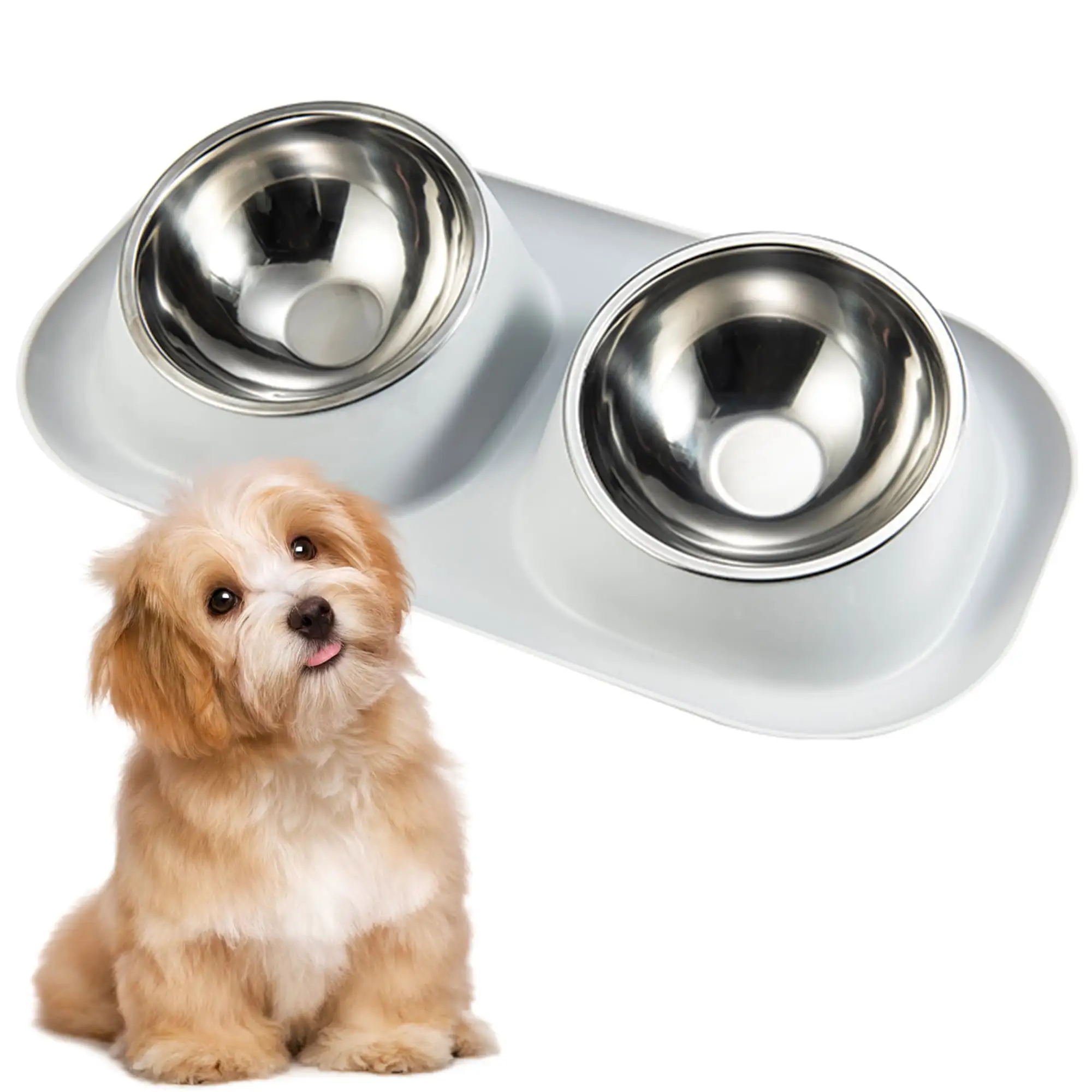 Suhaco Pet Raised Bowls Non Slip 15?? Tilted Stainless Steel Anti Spill Food and Water Double Bowl Set Stand for Indoor Small to Medium Dogs (Grey)