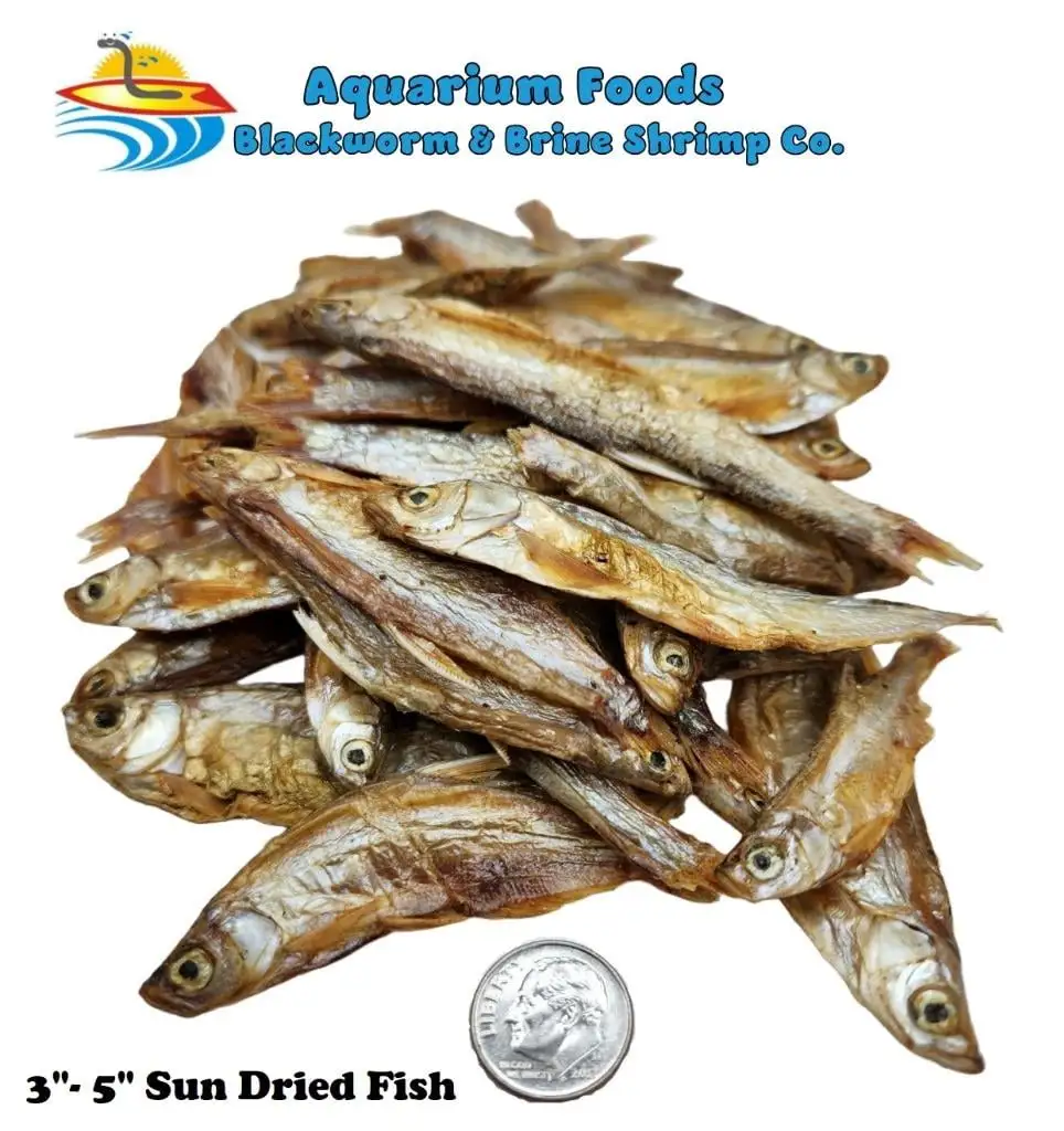 Sun Dried Fish 3-5- Tropical Fish. Marine Fish. Koi Fish. Turtles...1-lb