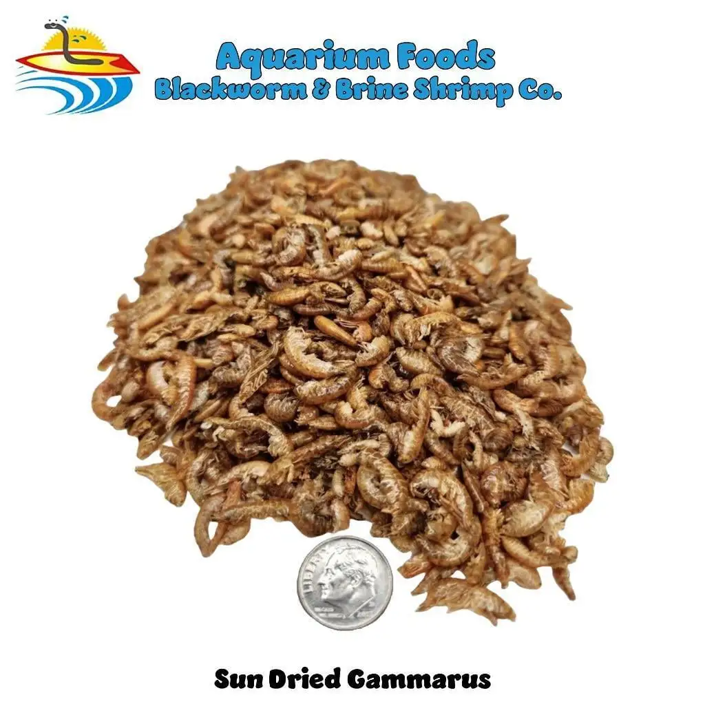 Sun Dried Gammarus - For Turtles. Reptiles. Chickens. Birds. Large Fish...8oz