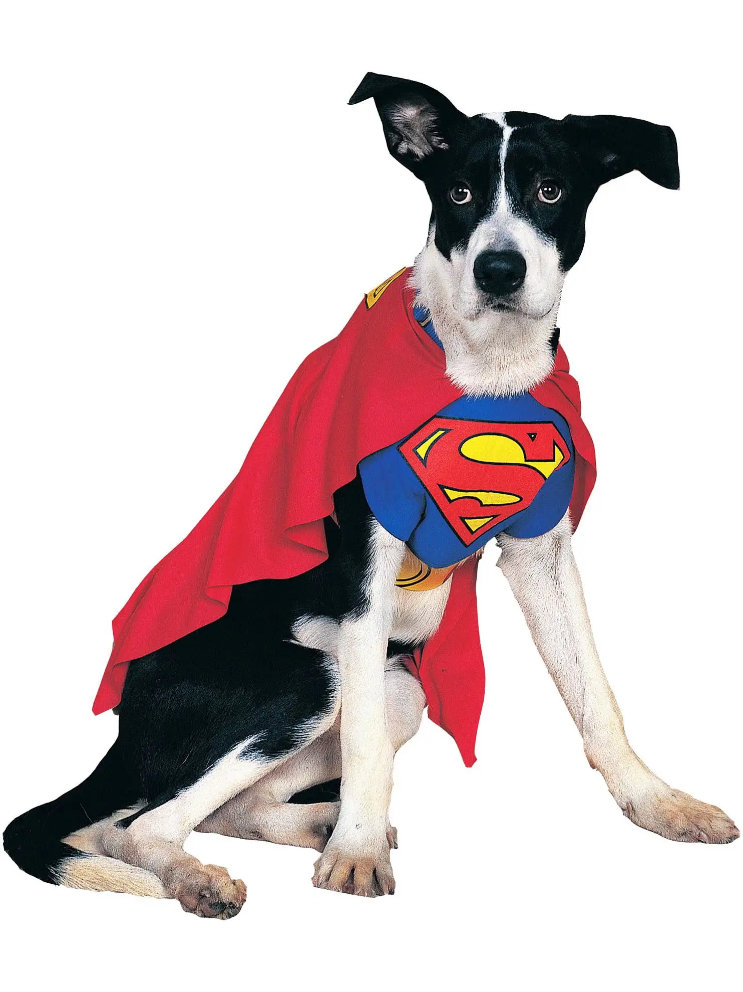 Superman Dog Costume