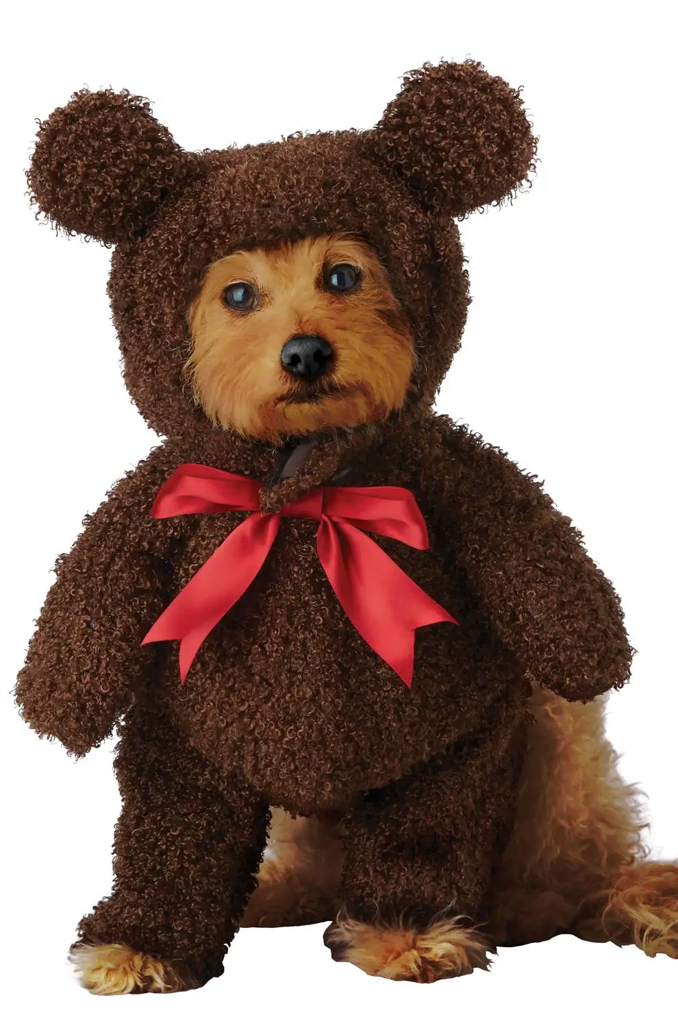 Sweet Teddy Bear Pet Costume