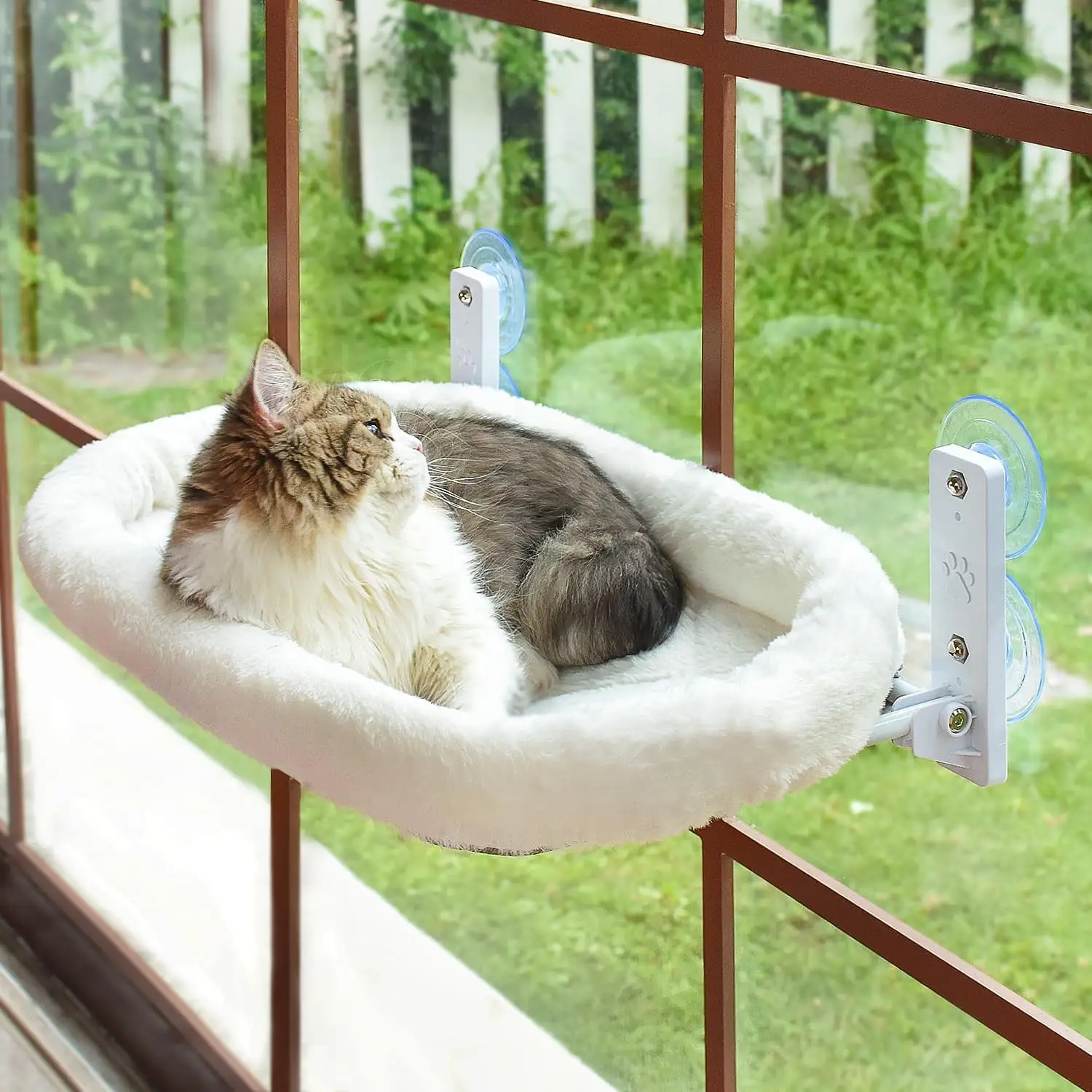 TETOU Cordless Cat Window Perch. Foldable Cat Beds Cat Hammock with 4 Strong Suction Cups for Wall Indoor Cats