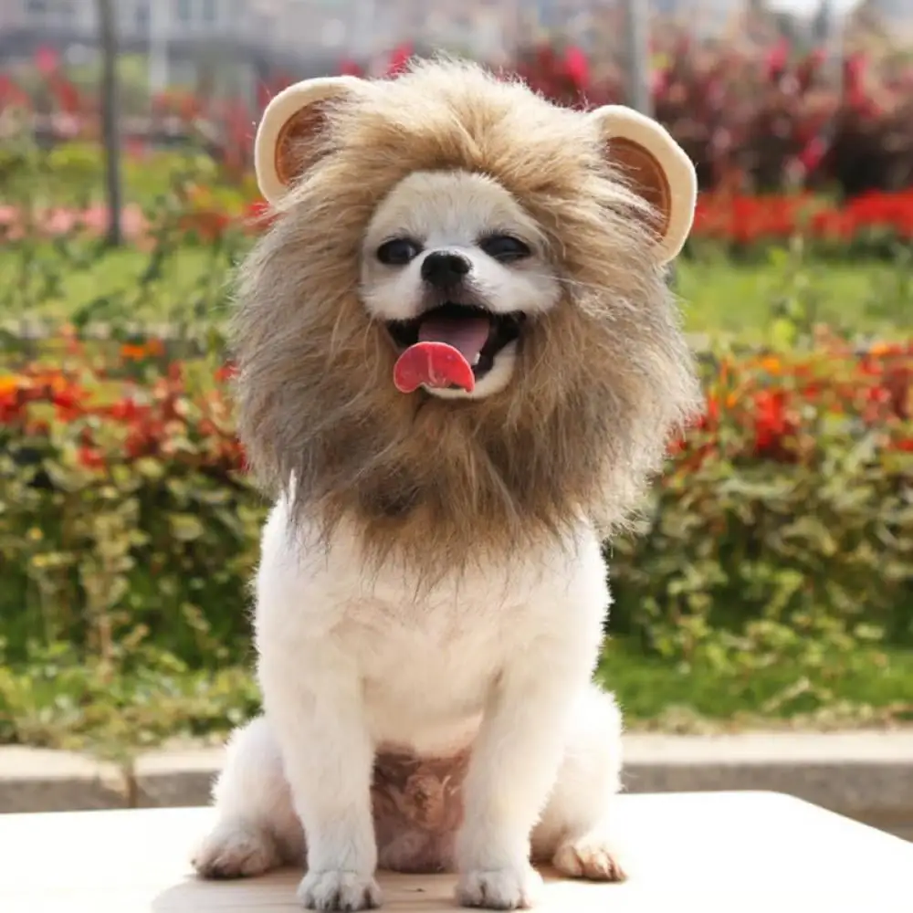 TINKER Realistic Lion Wig for Dogs.Pet Dog Lion Mane Wig Hair Cap Christmas Halloween Cosplay Costume Fancy Dress Apparel Funny Hat Cap Pet Cute Dress Gift