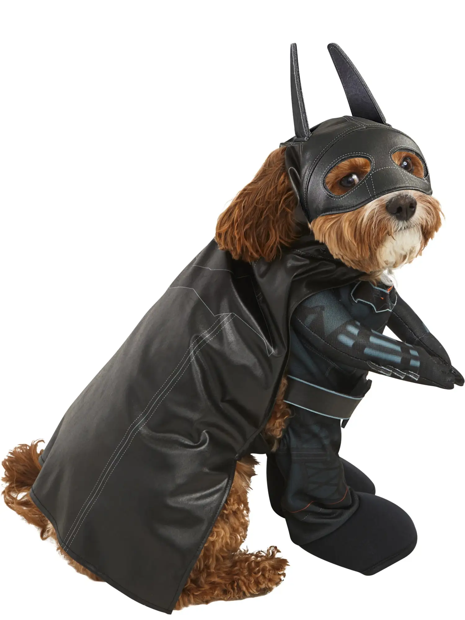 The Batman: Batman Pet Costume