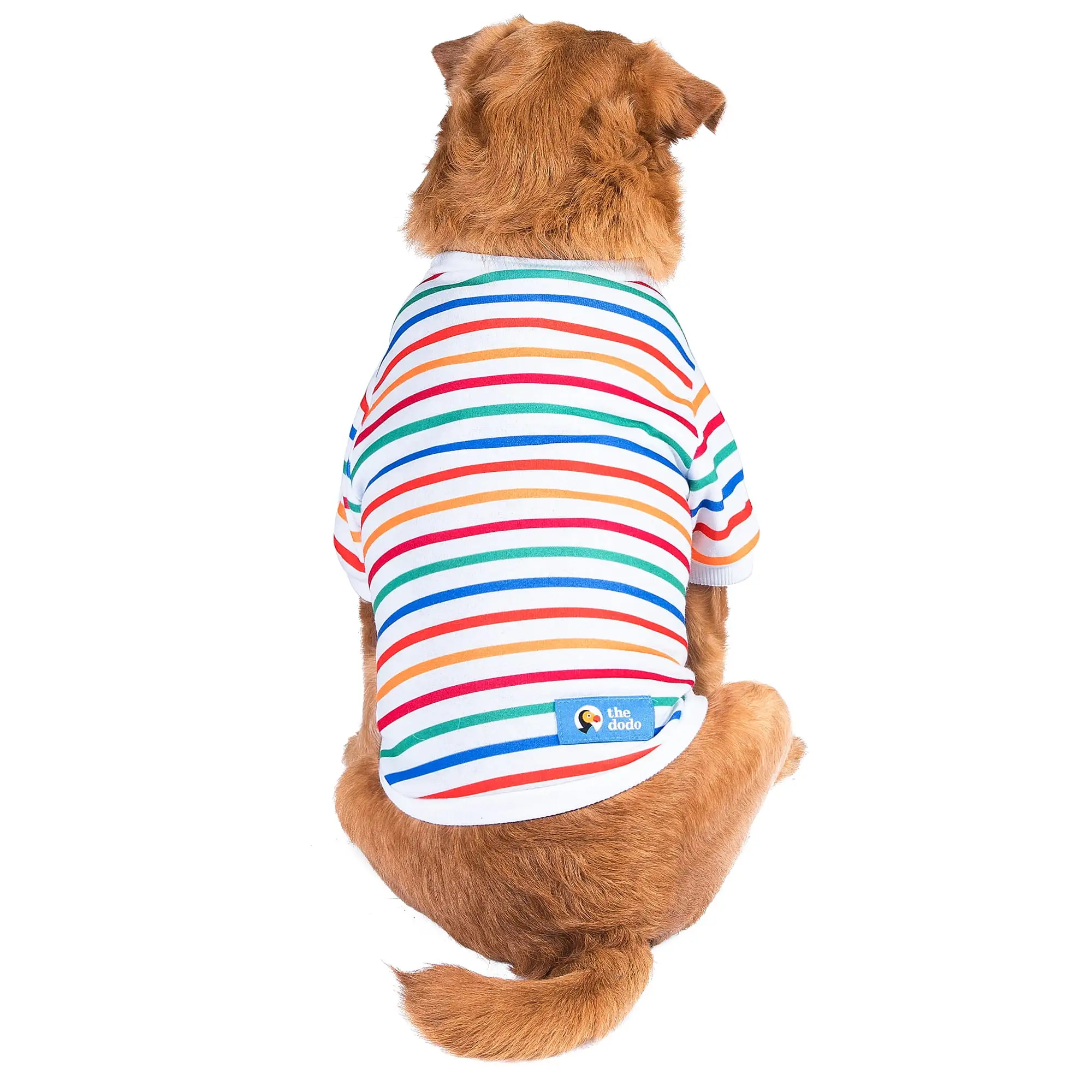 The Dodo Striped Crewneck Sweatshirt for Dogs - Medium