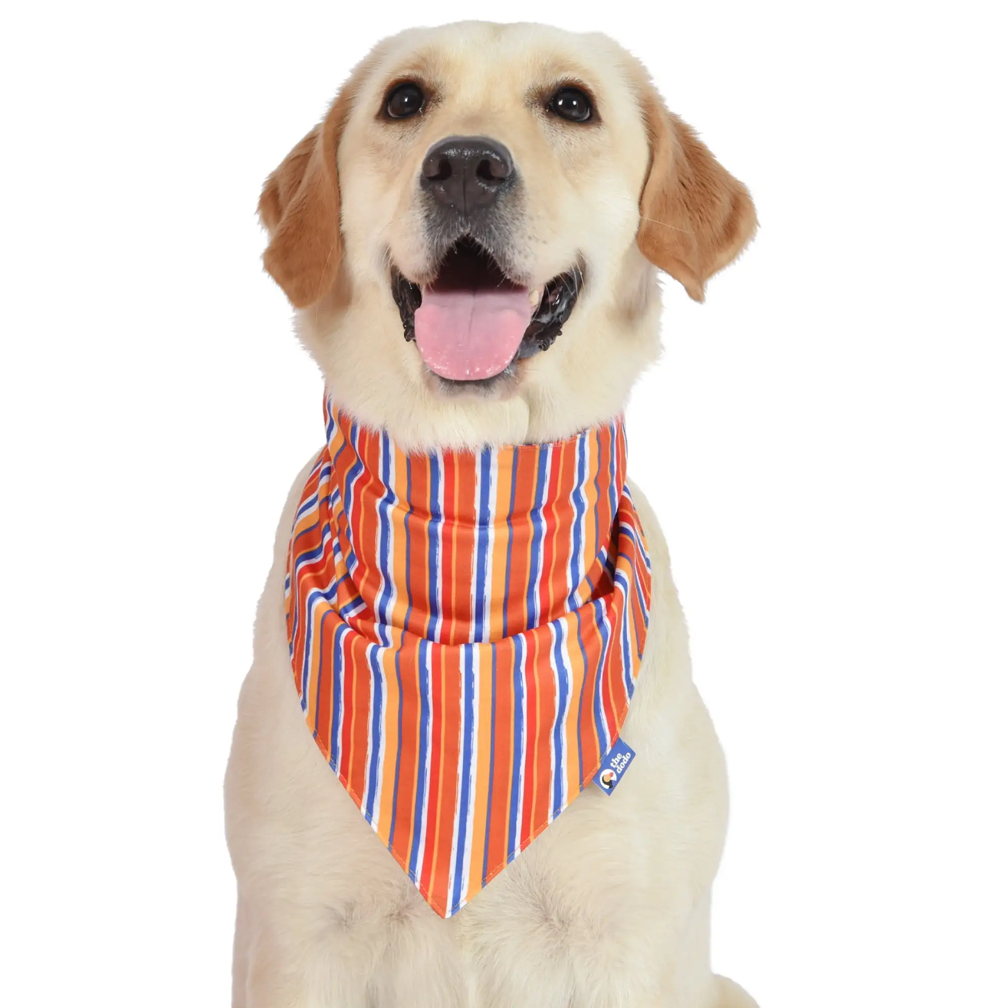 The Dodo Striped Dog Bandana. Multicolor. One Size Pet Apparel