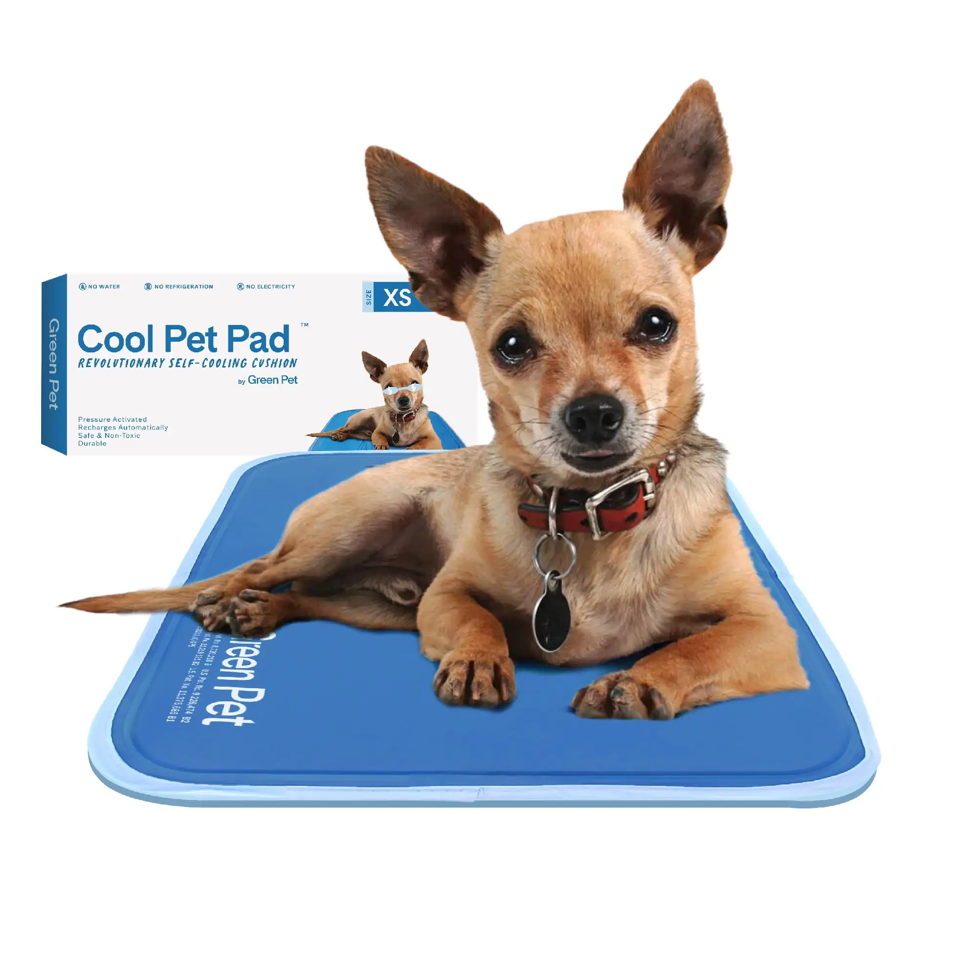 The Green Pet Shop Dog Cooling Mat. Extra Small - Pressure-Activated Gel Dog Cooling Pad - This Pet Cooling Mat Keeps Dogs & Cats Comfortable. Avoid Overheating - Ideal for 0 - 8 Lb. Dogs