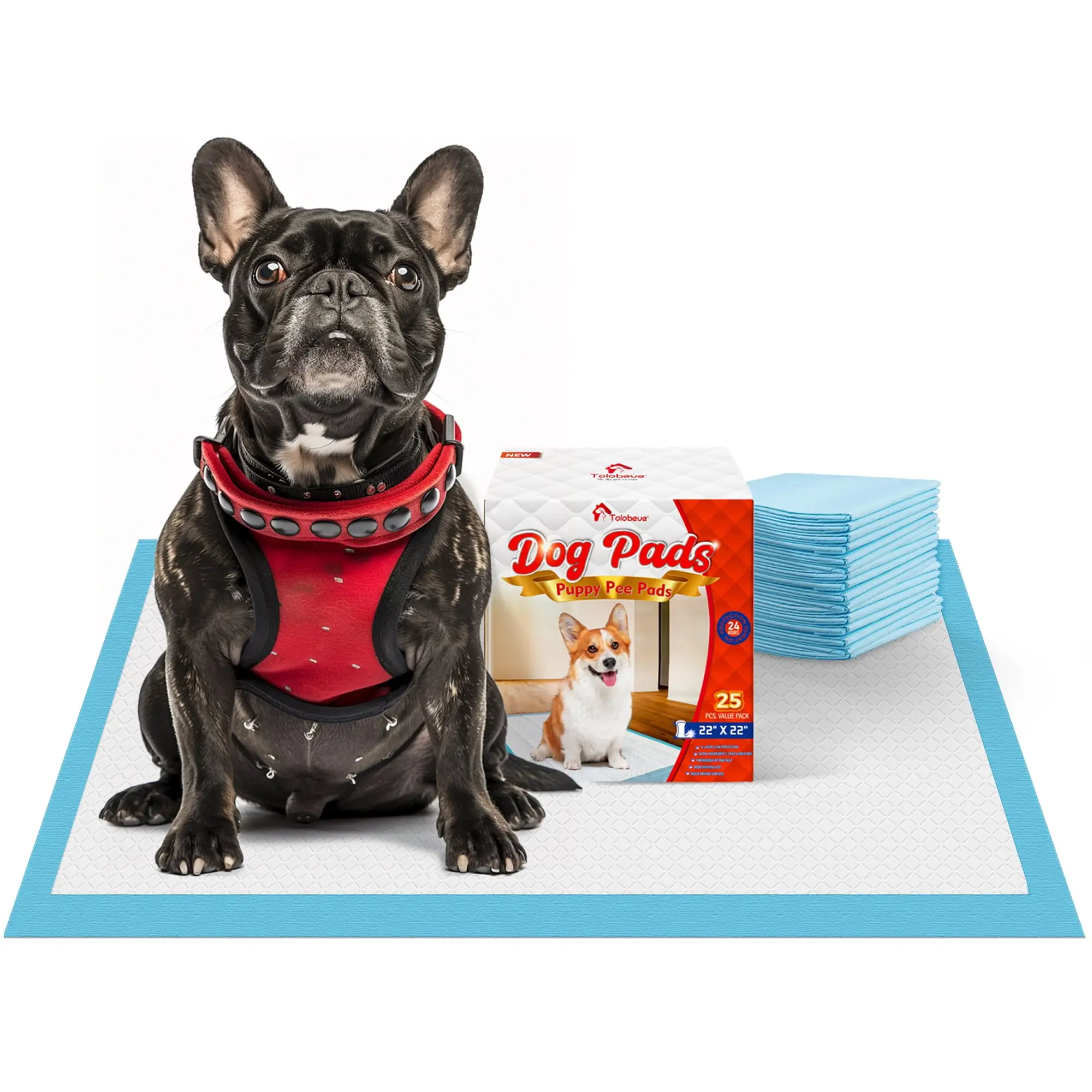 Tolobeve Puppy Pads Training Pads. Large. 22 in x 22 in. 25 Count Disposable Dog Pee Pet Pads