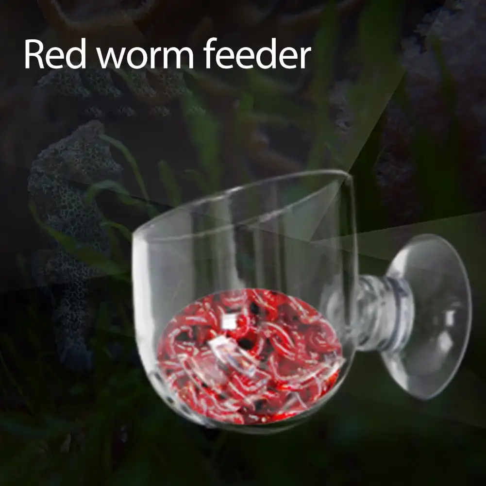 Transparent Glass Fish Food Bowl Red Worm Cup With Strong Suction Cup Tank Supplies