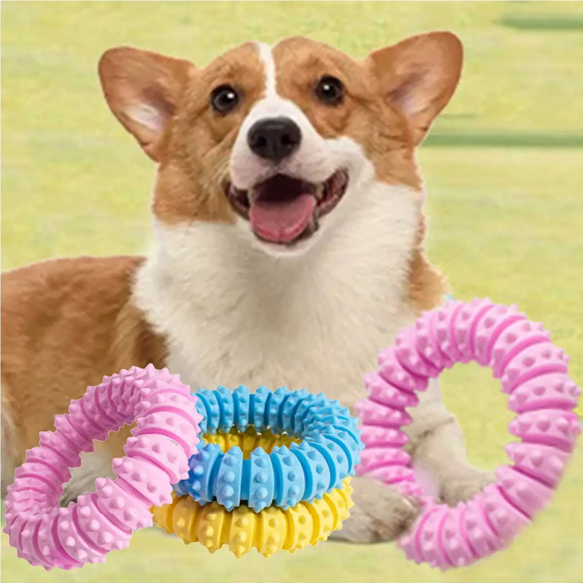 Travelwant Dog Chew Toys for Aggressive Chewers Small Medium Large Breed. Tough Indestructible Best Rubber Puppy Teething Toy. Funny Interactive Fetch and Tug