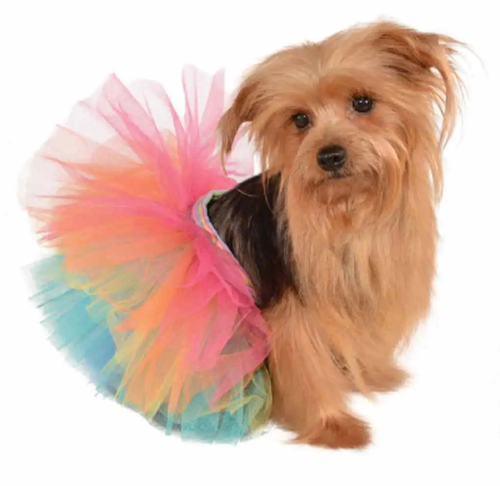 Tutu Skirt Ballerina Dancer Fancy Dress Halloween Pet Dog Cat Costume 8 COLORS M/L