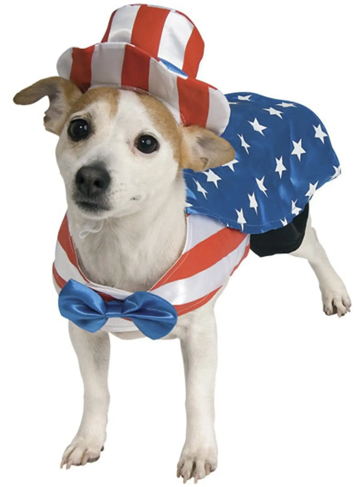 Uncle Sam Dog Costume Medium