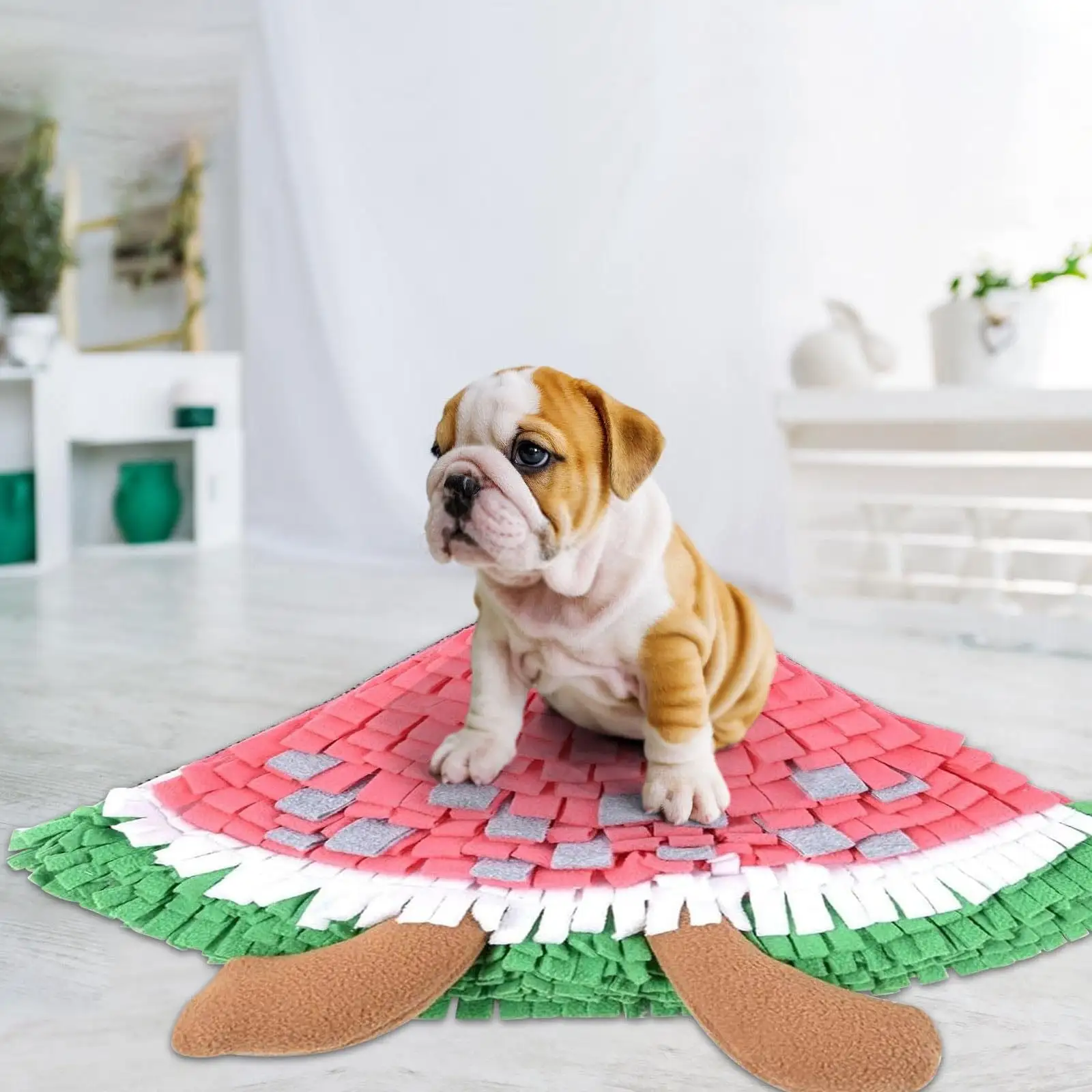 Uqiangy Snuffle Mat for Dogs. Fruit Shape Pet Sniffing Mat. Dog Slow Feeder for Dogs to Slow Down Eating. Dog Puzzle Toys Dogs. Pet Foraging Mat for Smell Training