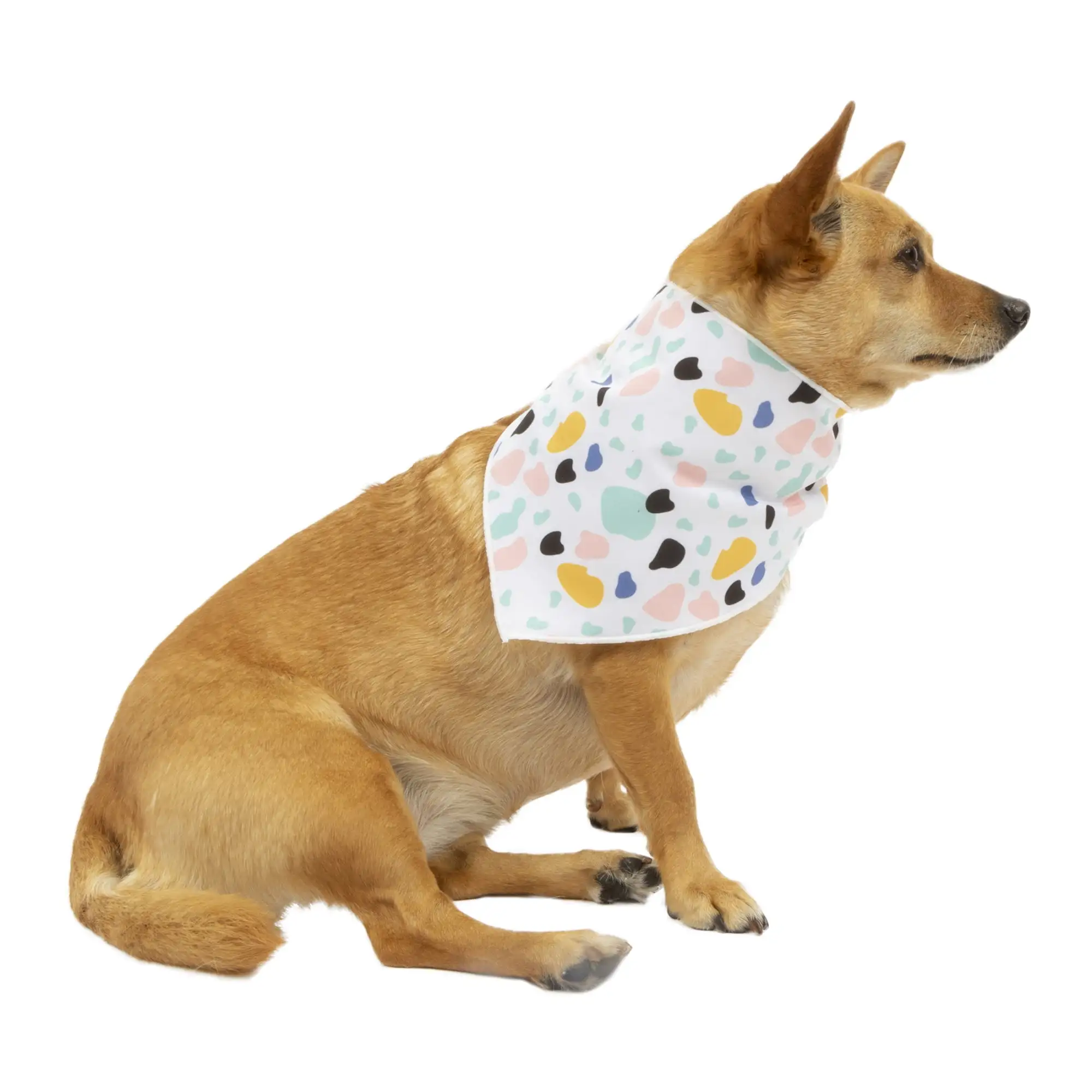 Vibrant Life Favorite Child Dog Bandana. 2 Pack. Multicolor. XS