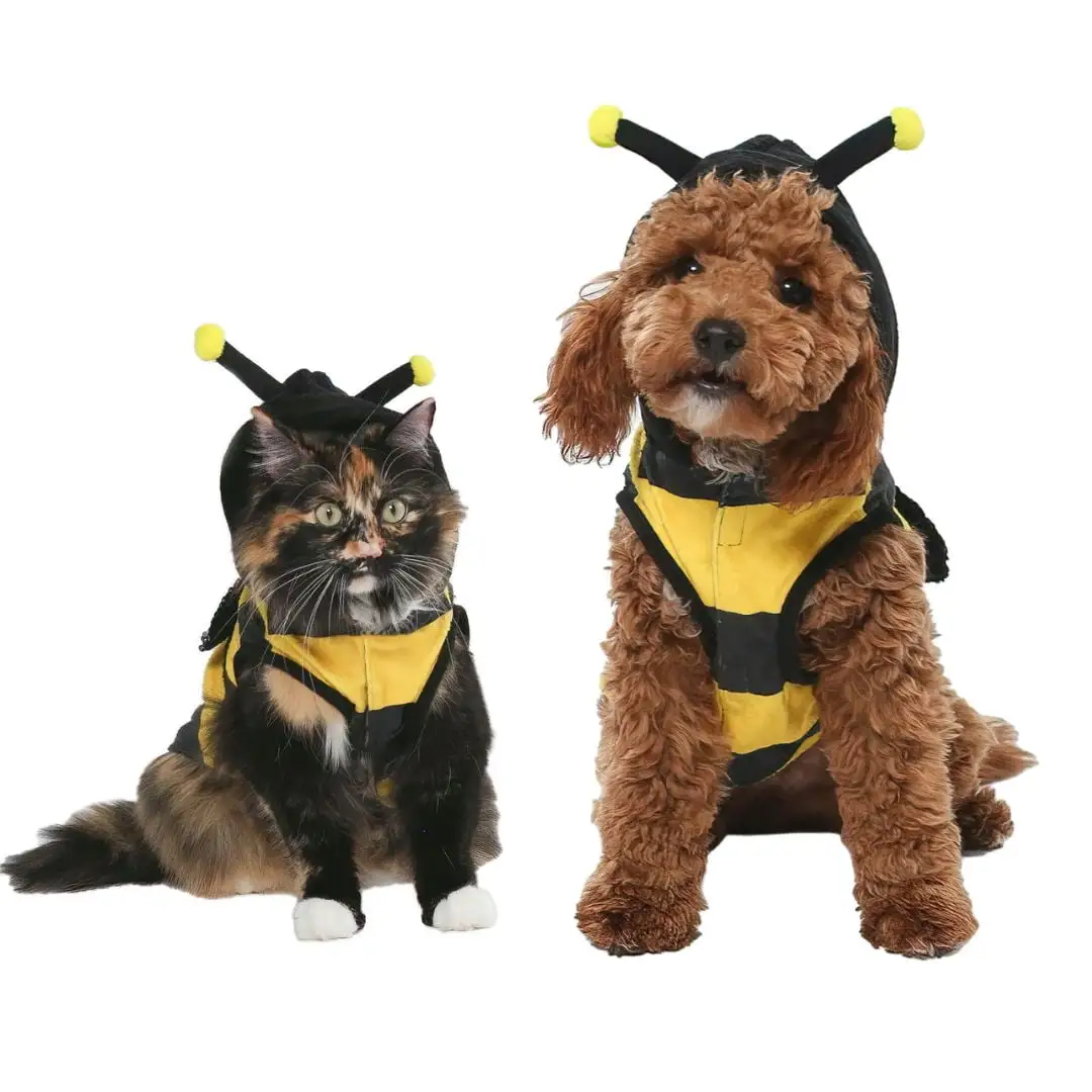 Vibrant Life Halloween Dog Costume and Cat Costume: Bumble Bee. Size Extra-Small