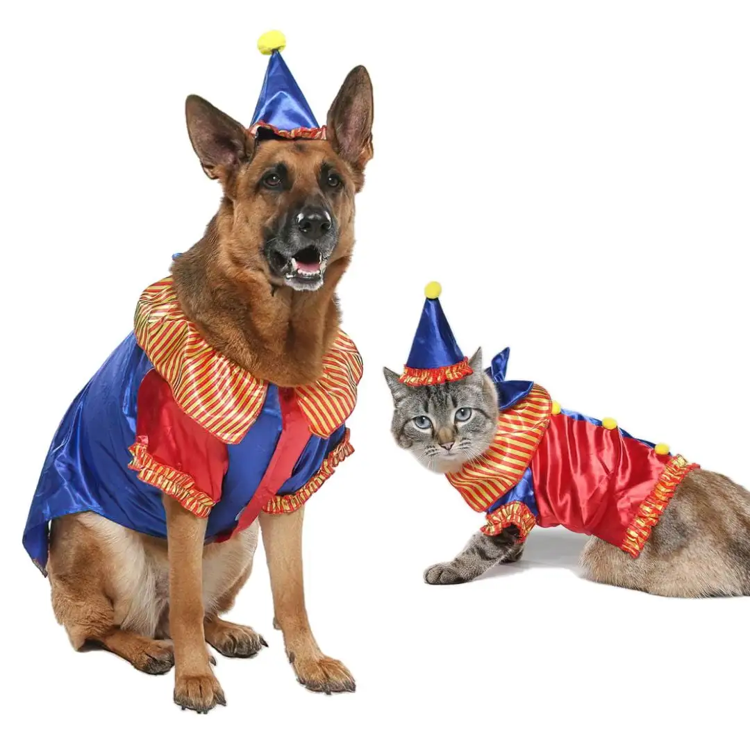 Vibrant Life Halloween Dog Costume and Cat Costume: Clown. Size Small