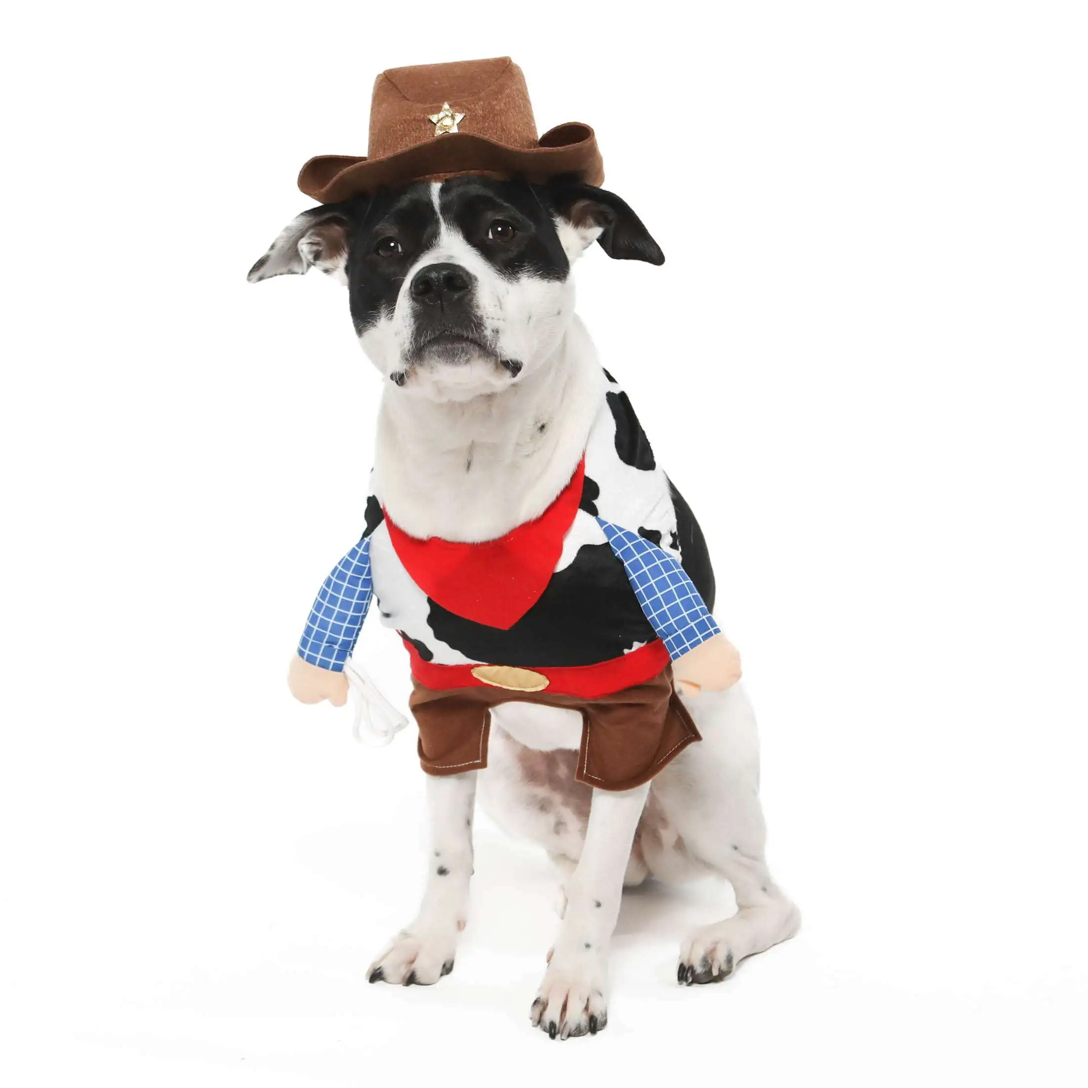 Vibrant Life Halloween Dog Costume and Cat Costume: Cowboy. Size M