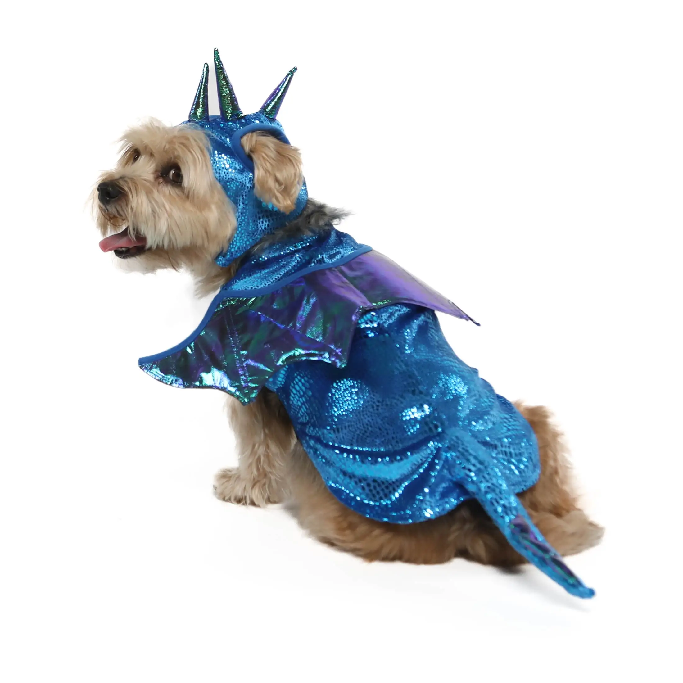 Vibrant Life Halloween Dog Costume and Cat Costume: Dragon. Size S