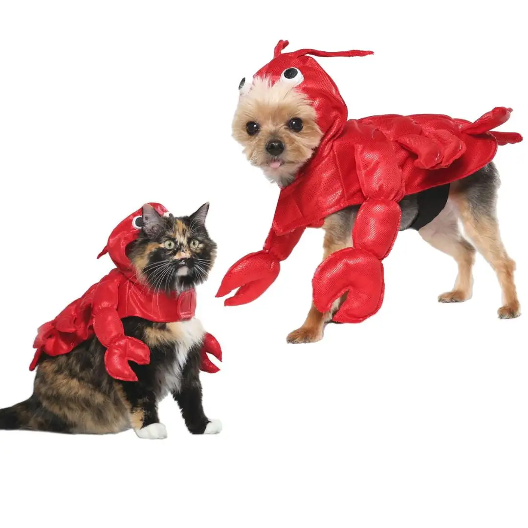 Vibrant Life Halloween Dog Costume and Cat Costume: Lobster. Size Extra-Small