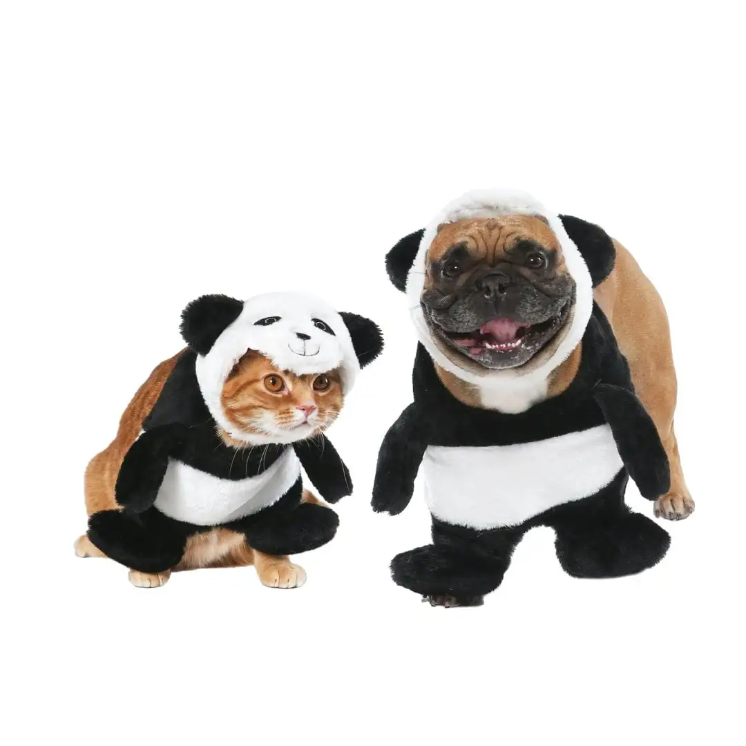 Vibrant Life Halloween Dog Costume and Cat Costume: Panda. Size Small