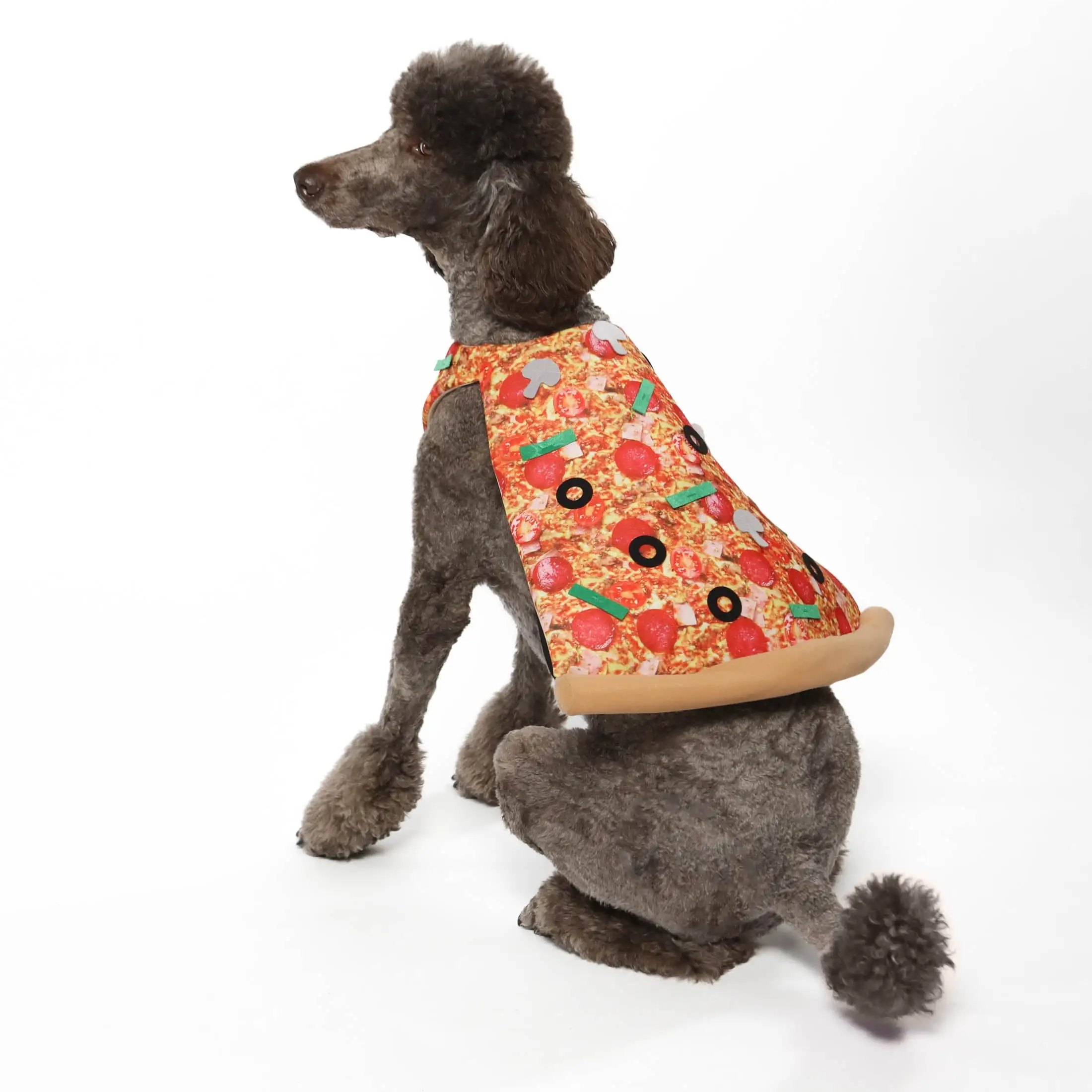 Vibrant Life Halloween Dog Costume and Cat Costume: Pizza. Size M