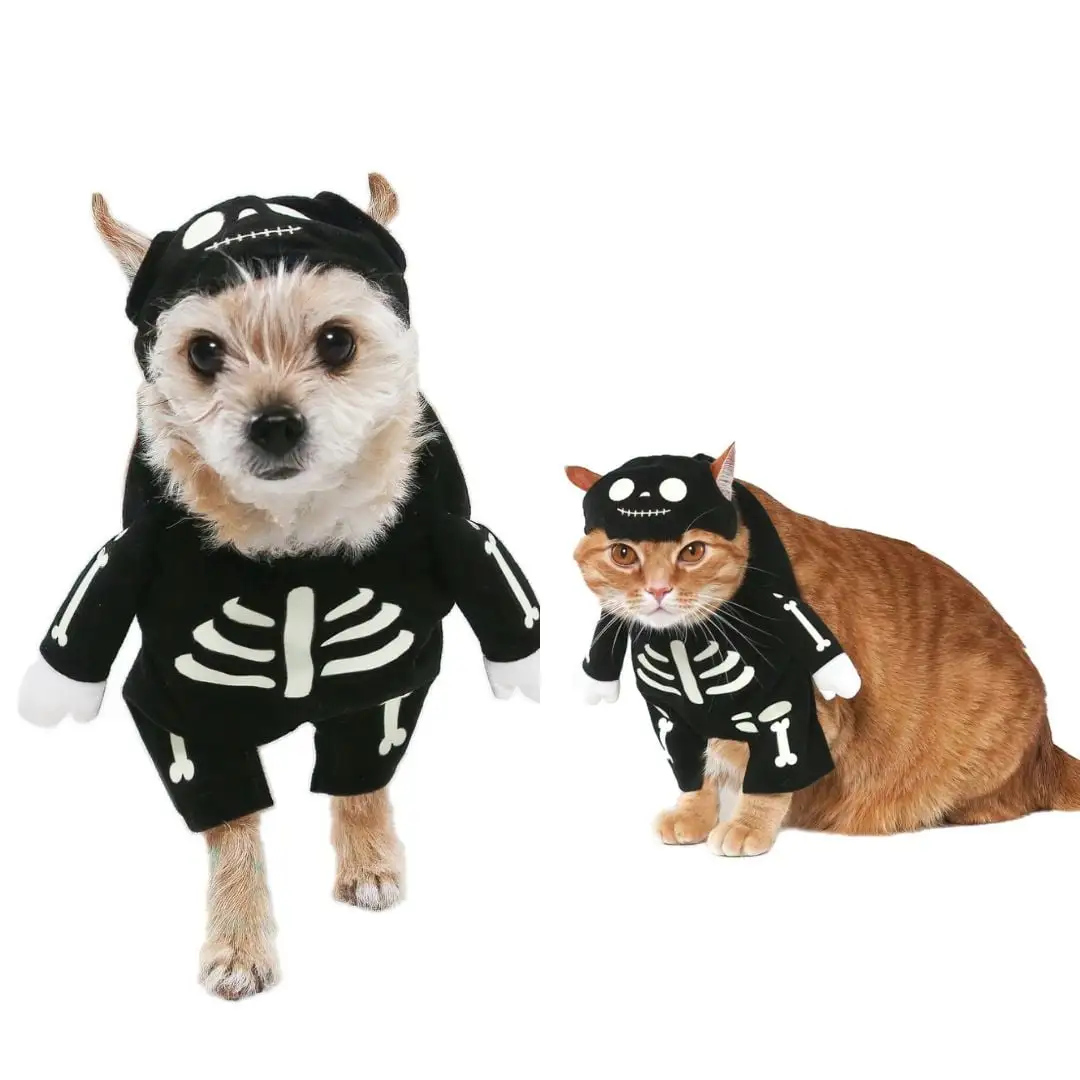 Vibrant Life Halloween Dog Costume and Cat Costume: Skeleton Glow-in-the-Dark. Size Small