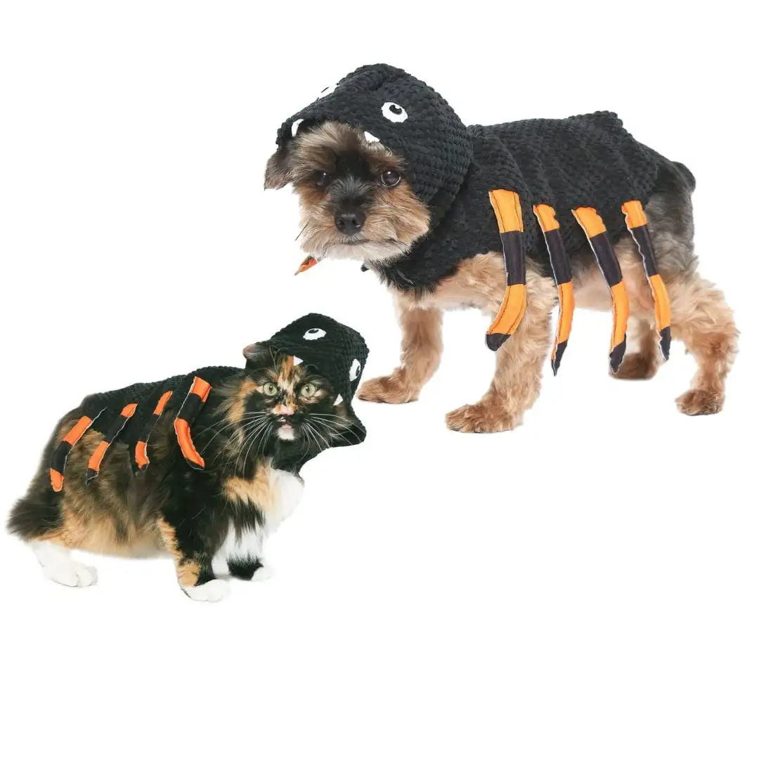 Vibrant Life Halloween Dog Costume and Cat Costume: Spider. Size Small