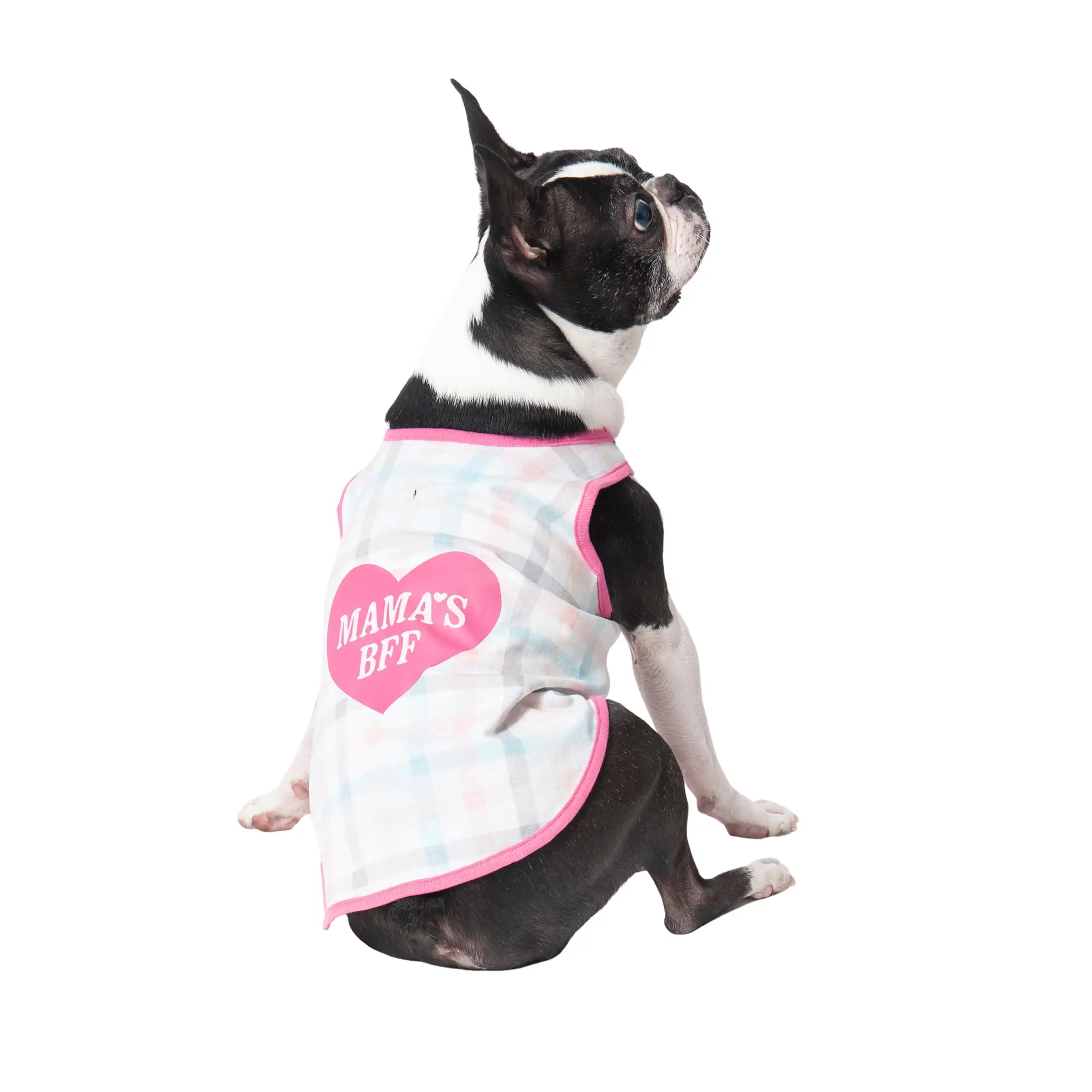 Vibrant Life Mama's Best Friend Forever Tank for Dogs. Small