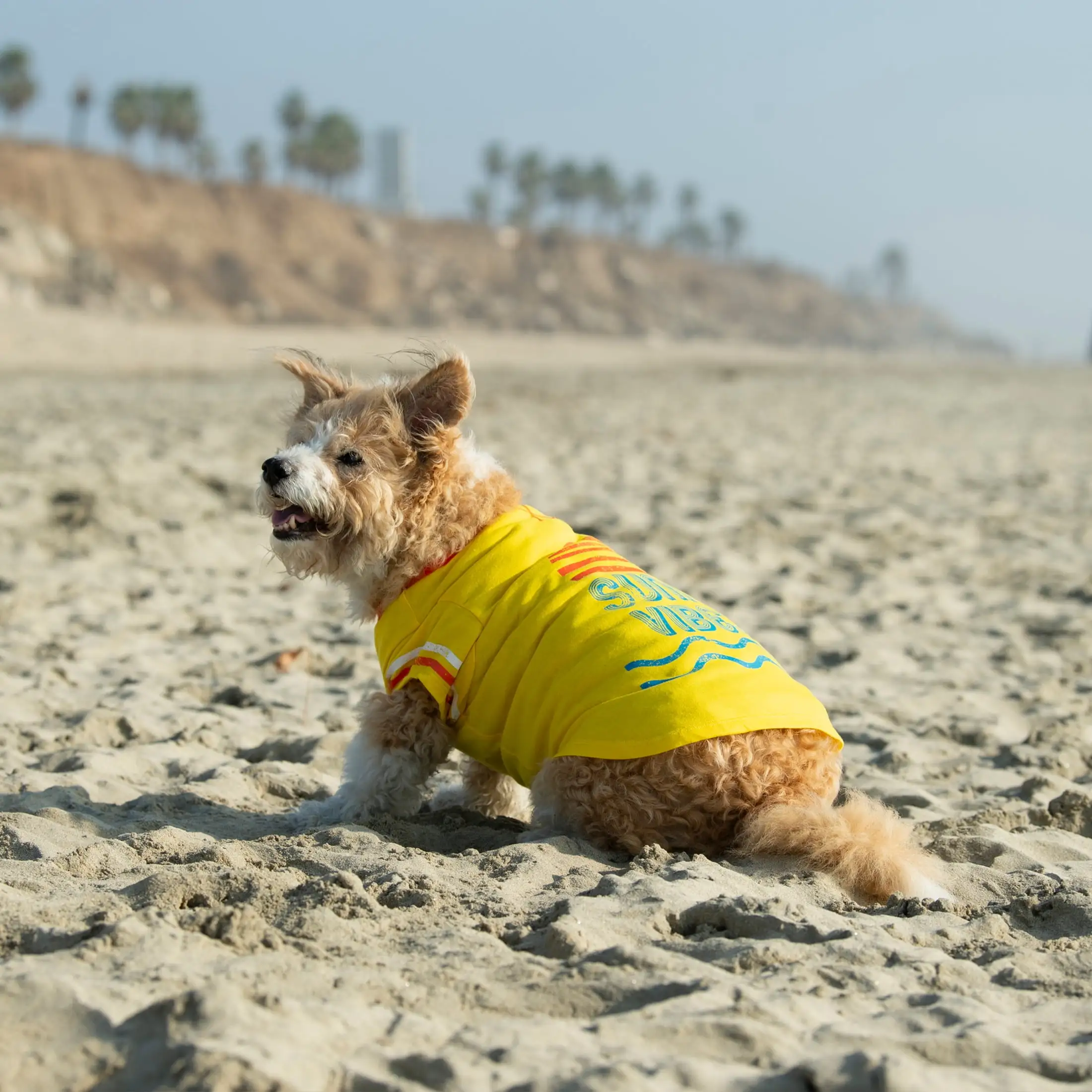 Vibrant Life Polyester Sunny Vibes Dog T-Shirt. Yellow. XXS