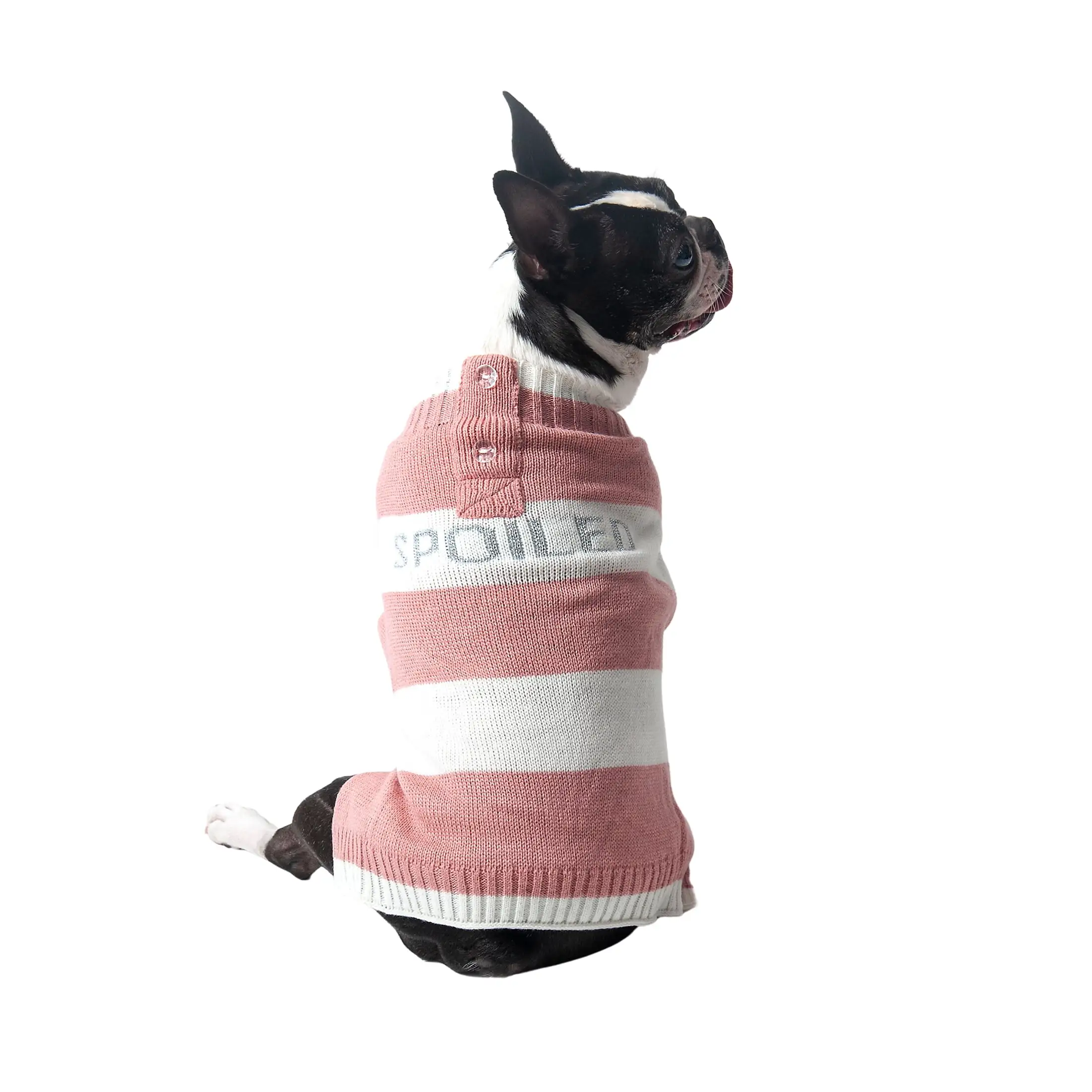 Vibrant Life Winter Dog and Cat Clothes Spoiled Pink Sweater. Small