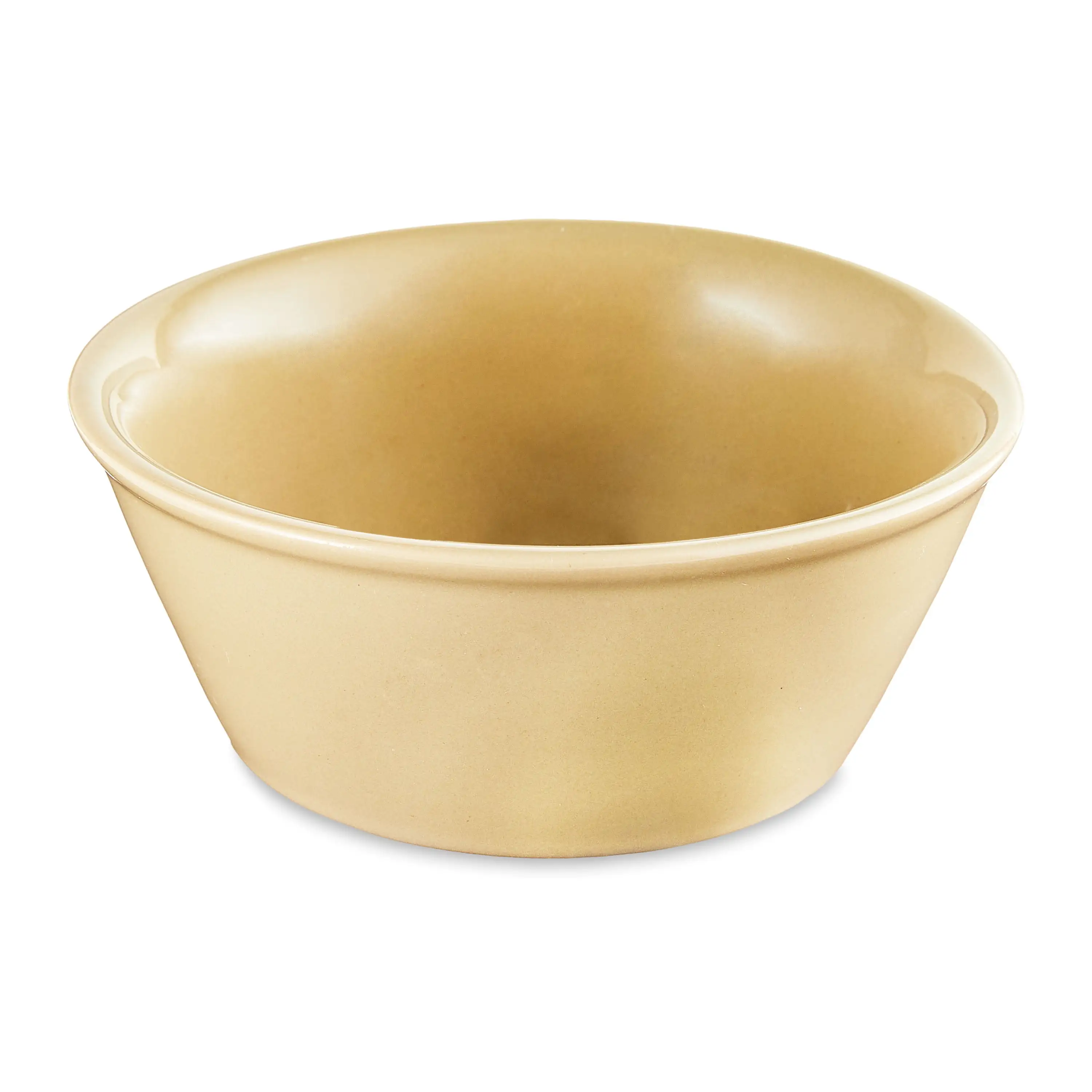 Vibrant Life XS Basic Ceramic Dog Bowl