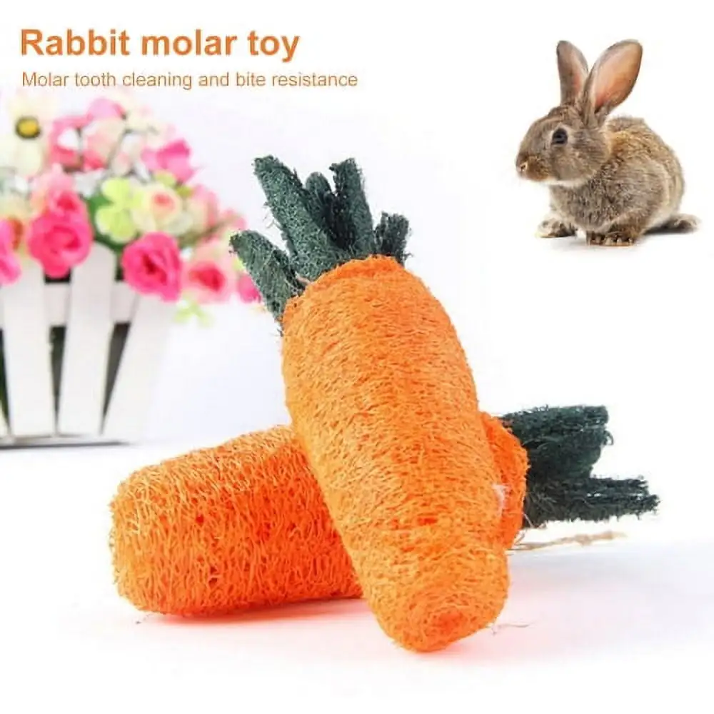 Visland Bunny Chew Toys for Teeth Health. Molar Rabbit Toys Carrot Toys Rattan for Chinchillas. Guinea Pigs. Hamsters