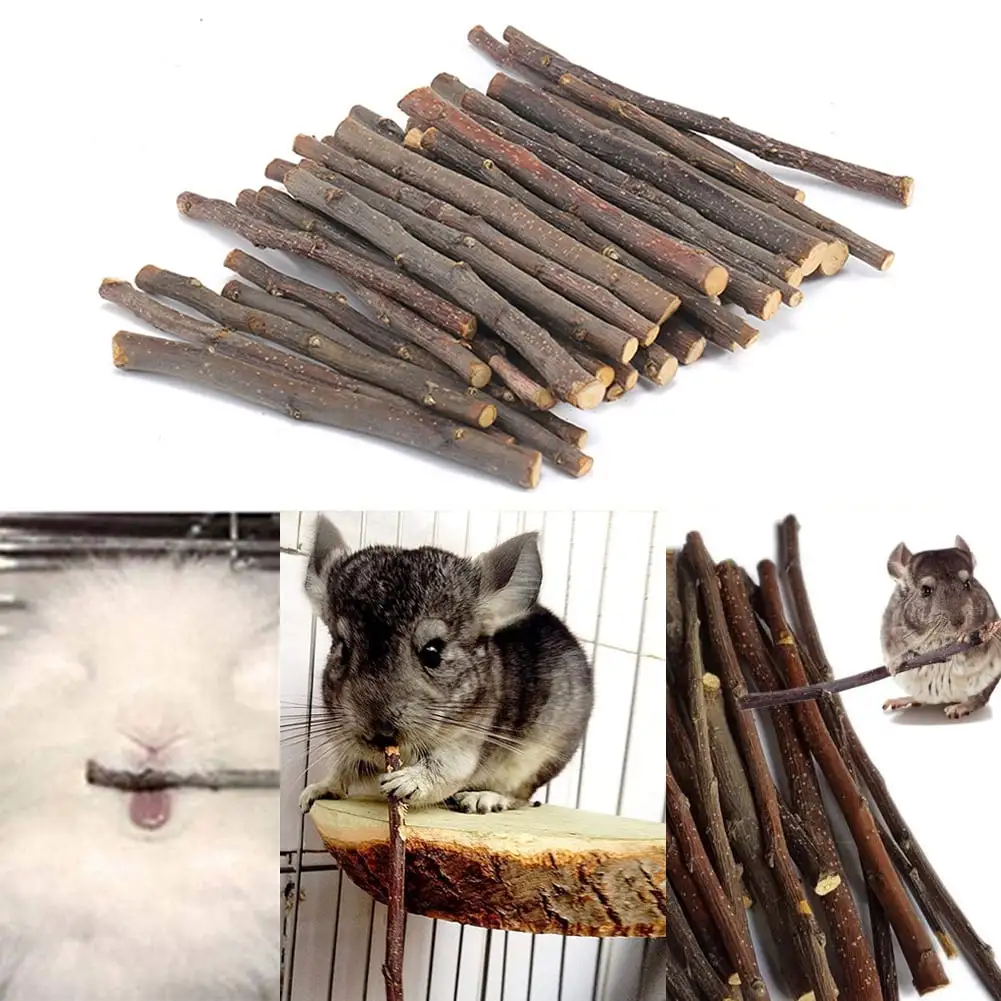 Walbest 20/40/60Pcs Organic Apple Sticks Wood Tree Branches Pet Snacks Chew Toys. Apple Branch for Guinea Pigs Chinchilla Squirrel Rabbits Hamster Small Animals