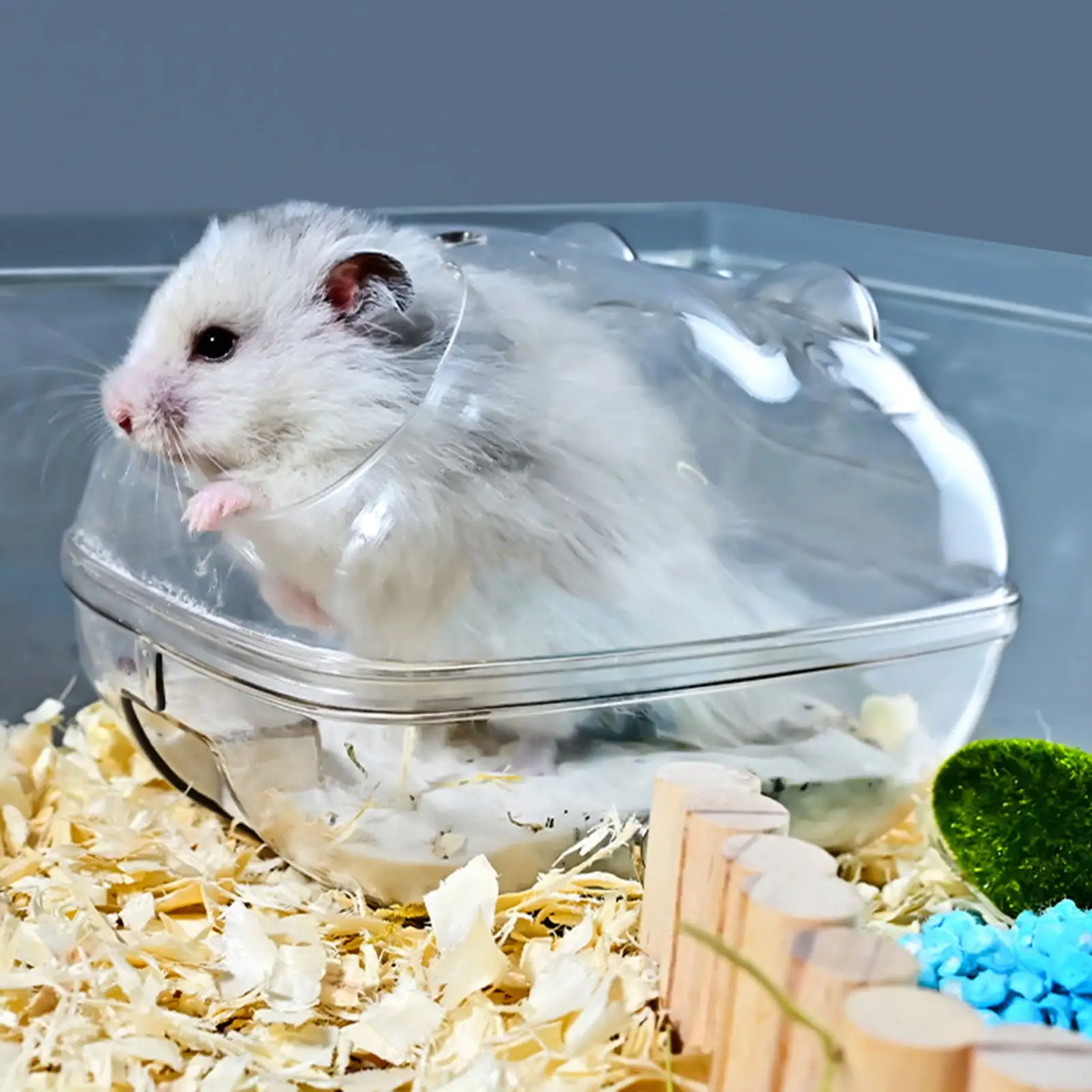 Walbest Sand Bath Container for Hamster Large Transparent Hamster Toilet Dwarf Sandbox Dust Bathtub Small Animals Bathroom Hamster Cage Accessories (Transparent. Large)