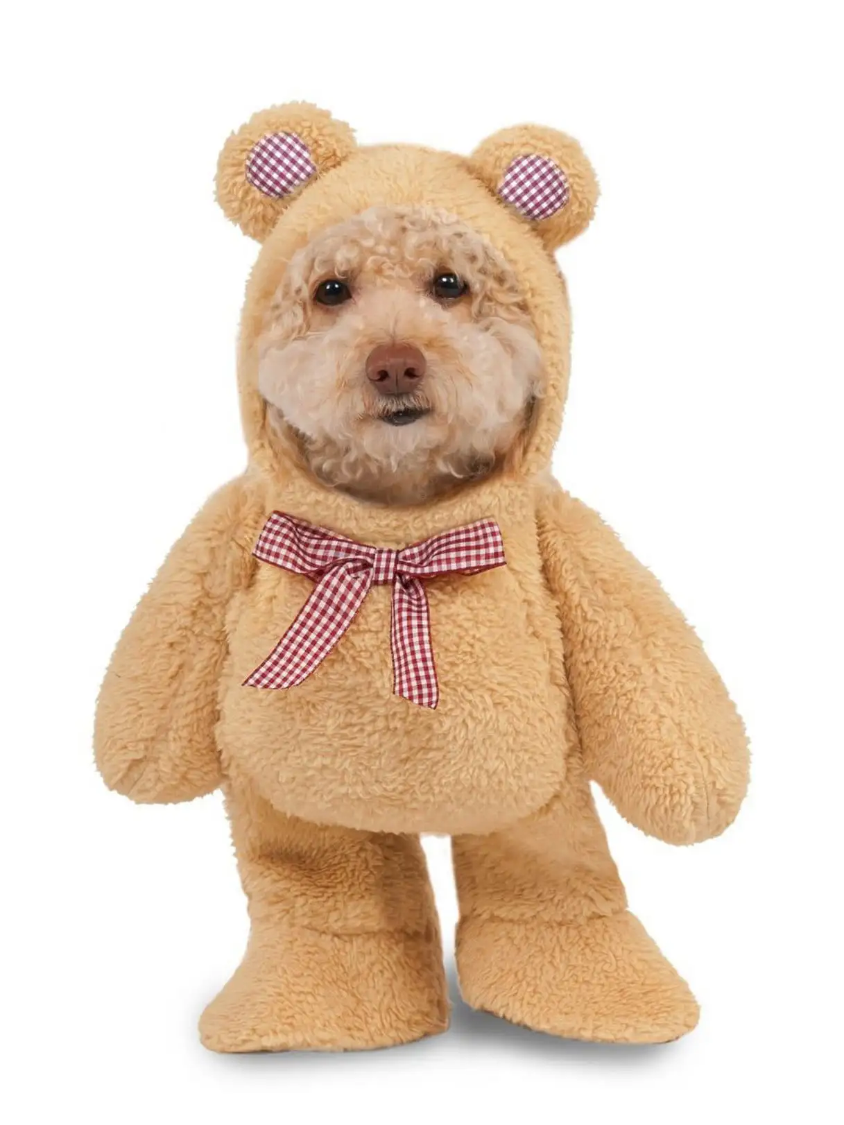 Walking Teddy Bear Pet Costume