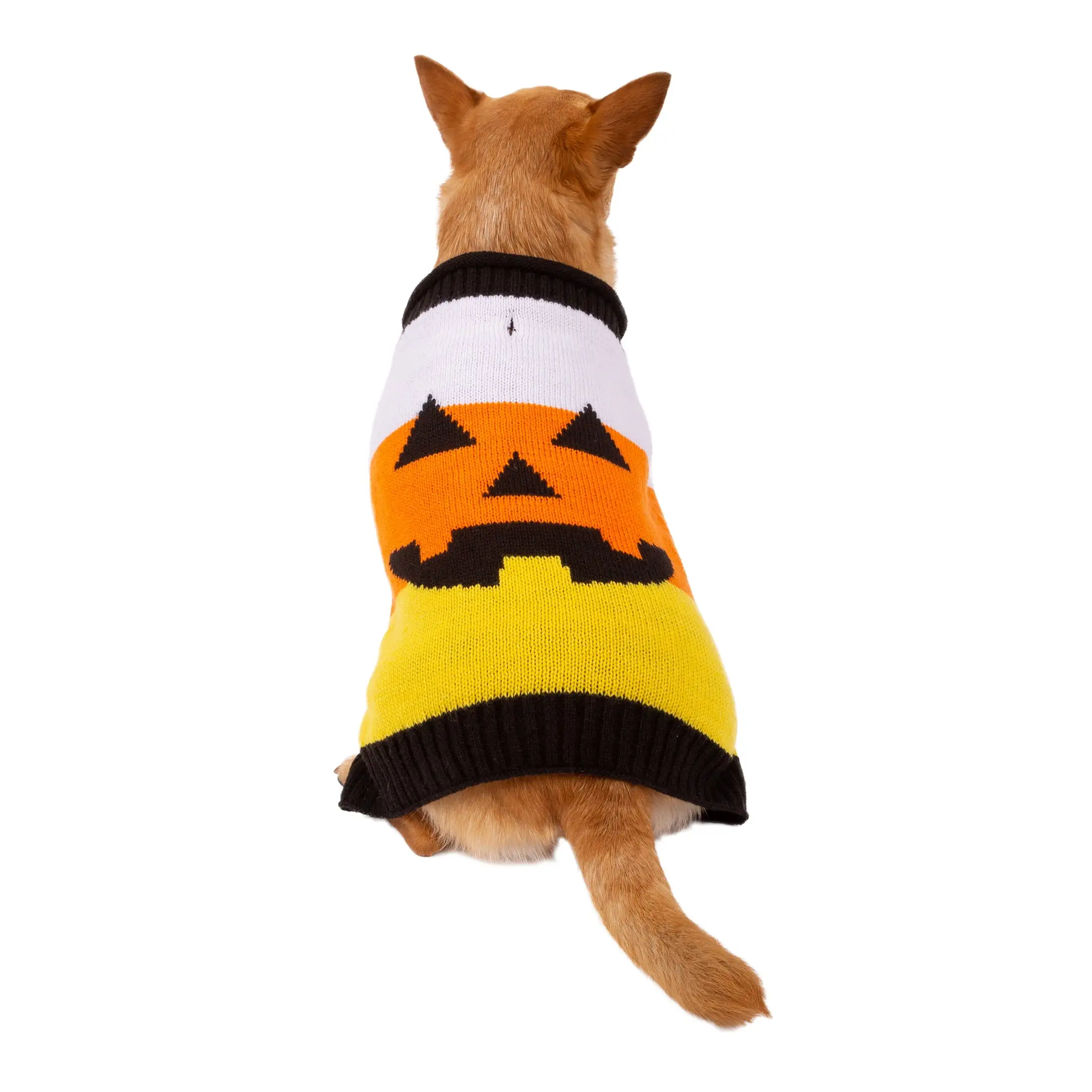 Way To Celebrate Orange Candy Striped Pumpkin Dog or Cat Sweater. Size Xsmall