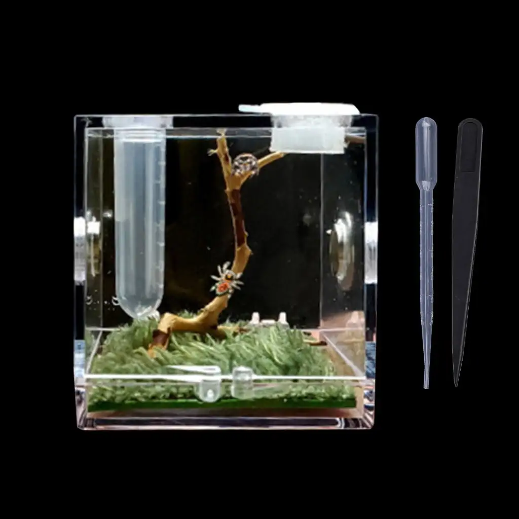 Whoamigo Transparent Spiders Breeding Box - Full View Top - Ventilation - Small Reptiles Acrylic Habitat Cage - Anti-Escape