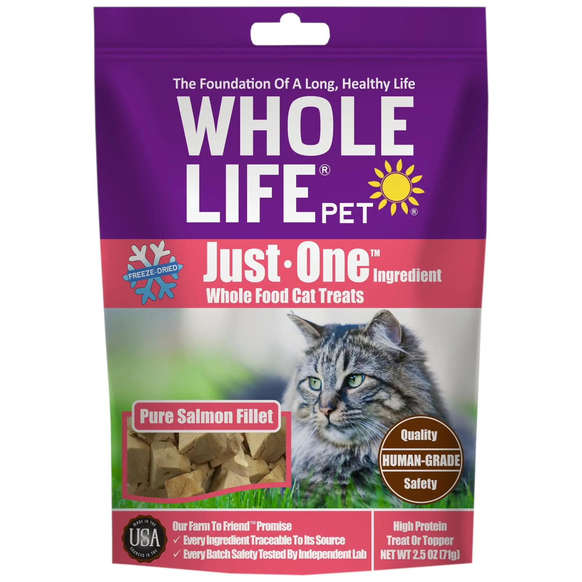 Whole Life Pet Just One Ingredient Salmon Treats for Cats. 2.5oz