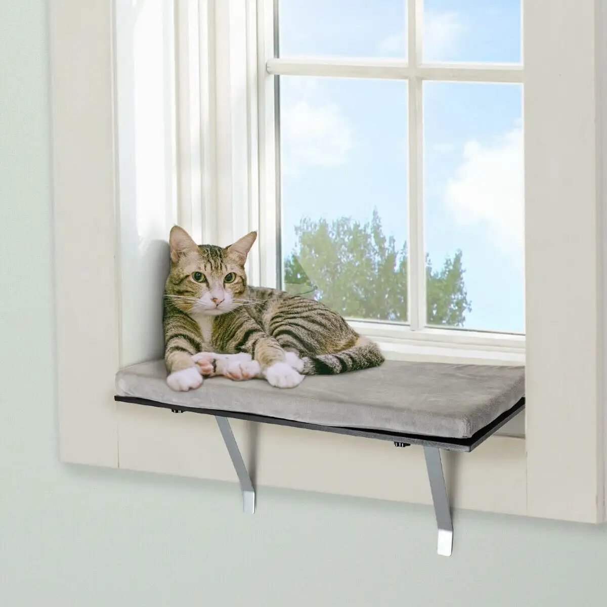 Windowsill Pet Perch. Cat Frame with Velvet Cushion for Cat Play. Rest. Jump