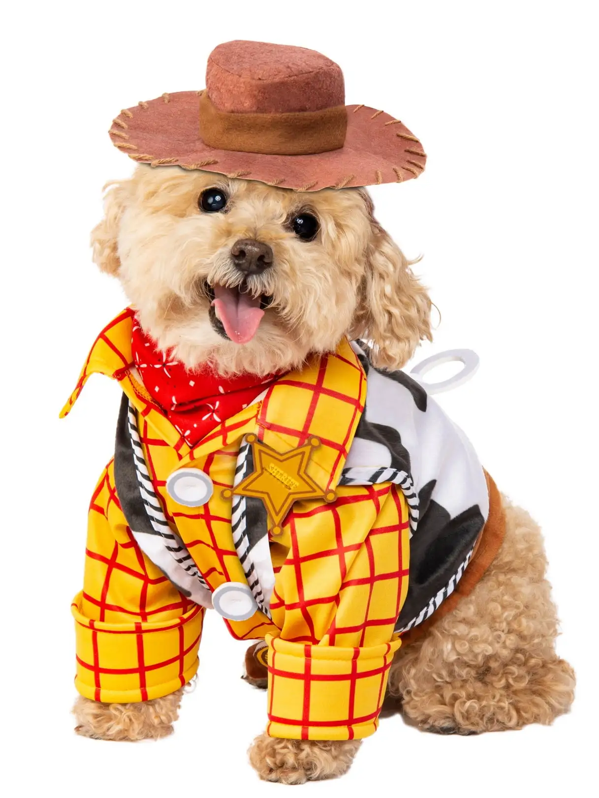 Woody Pet Costume